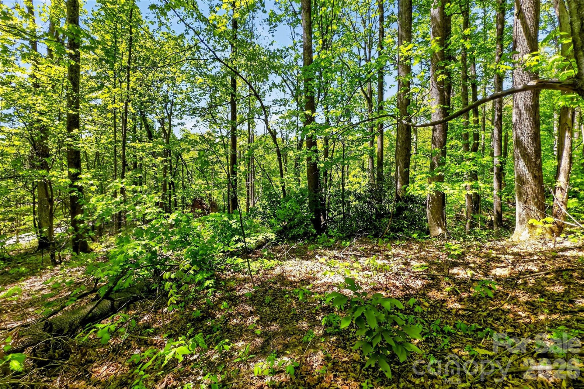 7 Gateway Parkway - Photo 20