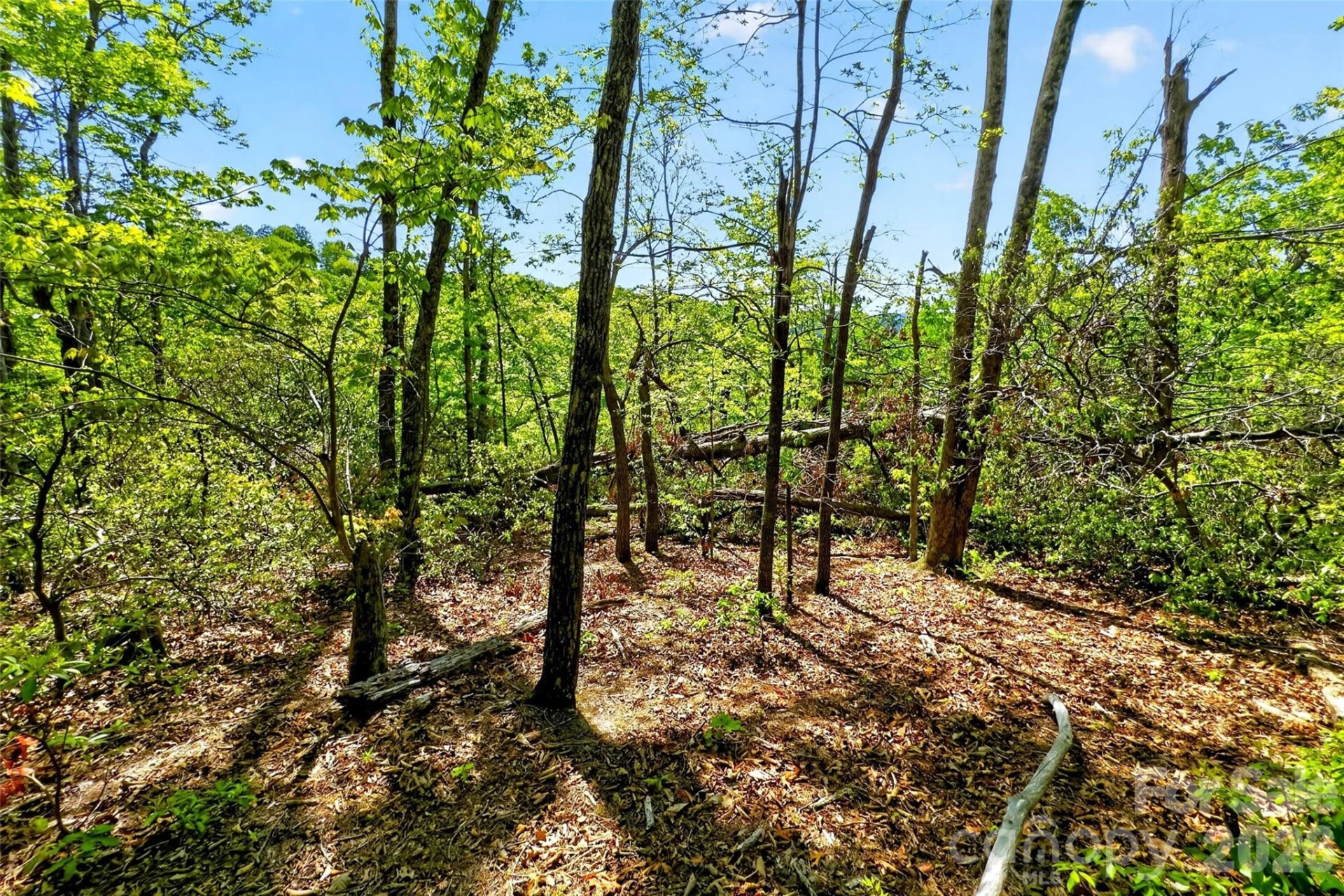 131-133 McKenzie Way - Photo 4