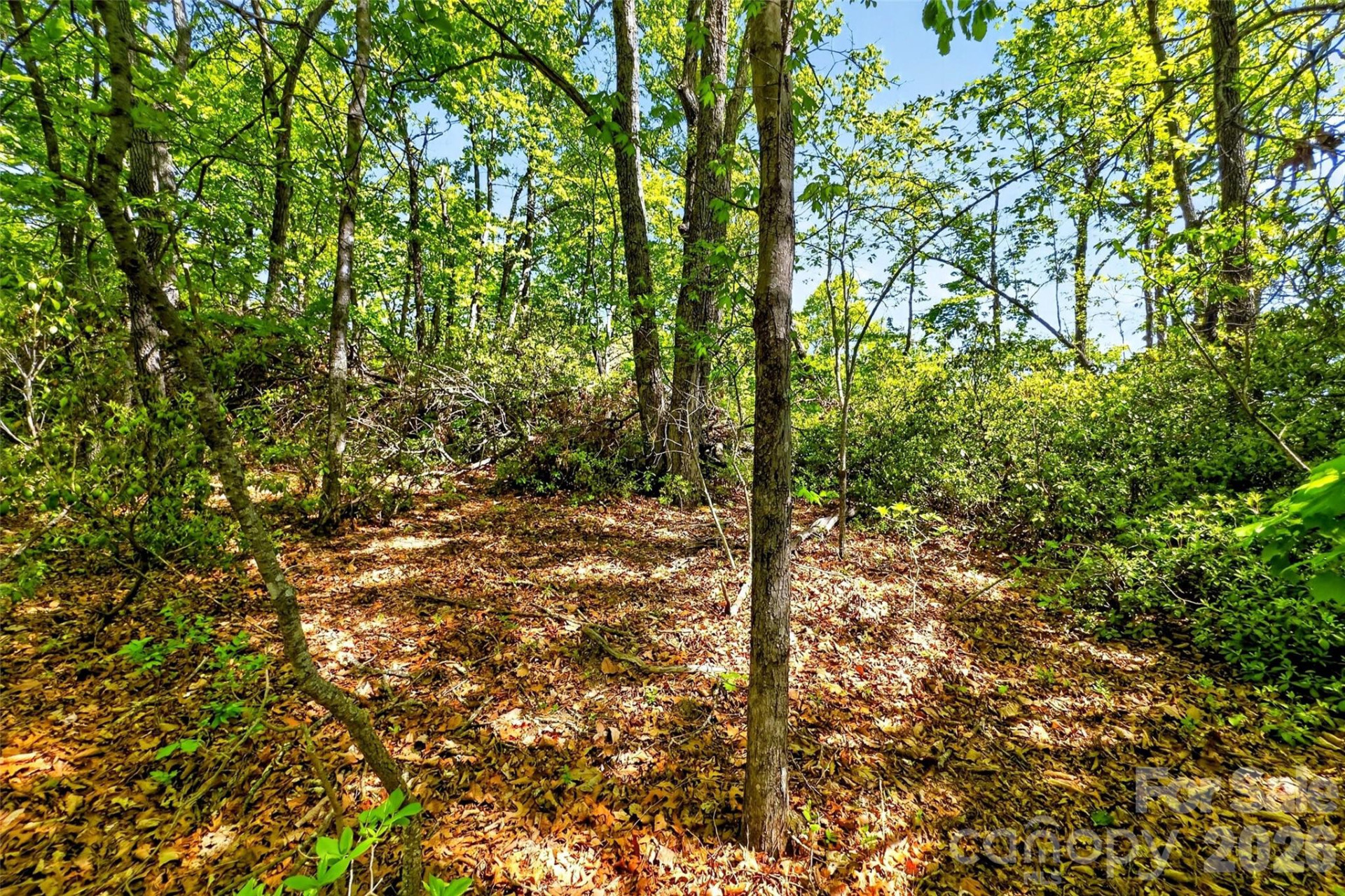 131-133 McKenzie Way - Photo 8