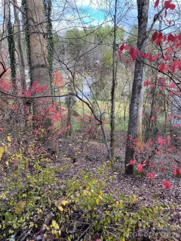 000 Waterford Place, Brevard, NC, 28712