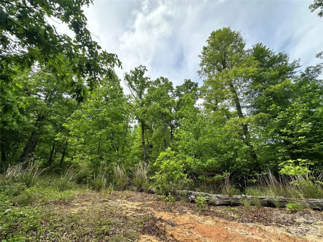 99999 Bird Creek Estates Road, Black Mountain, NC, 28711
