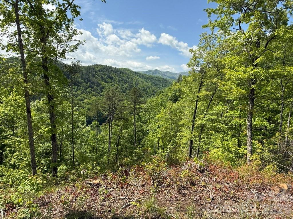 0 Fontana Lake Way #34 - Photo 5