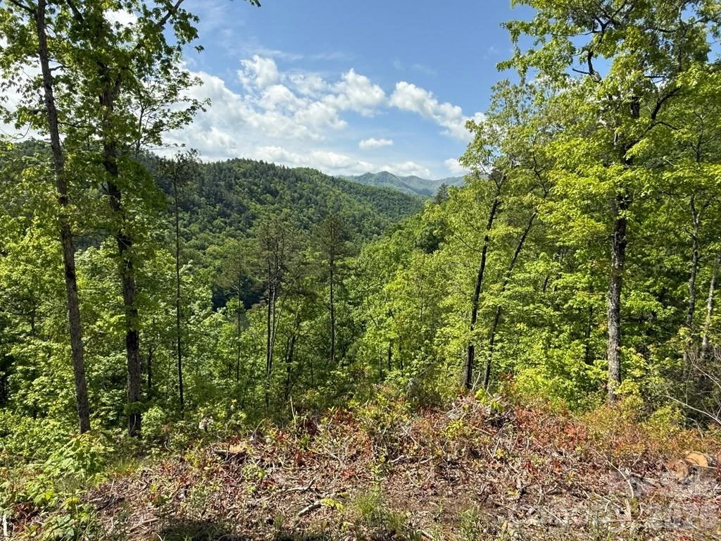 0 Fontana Lake Way #34 - Photo 5