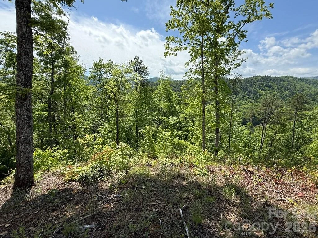 0 Fontana Lake Way #34 - Photo 6