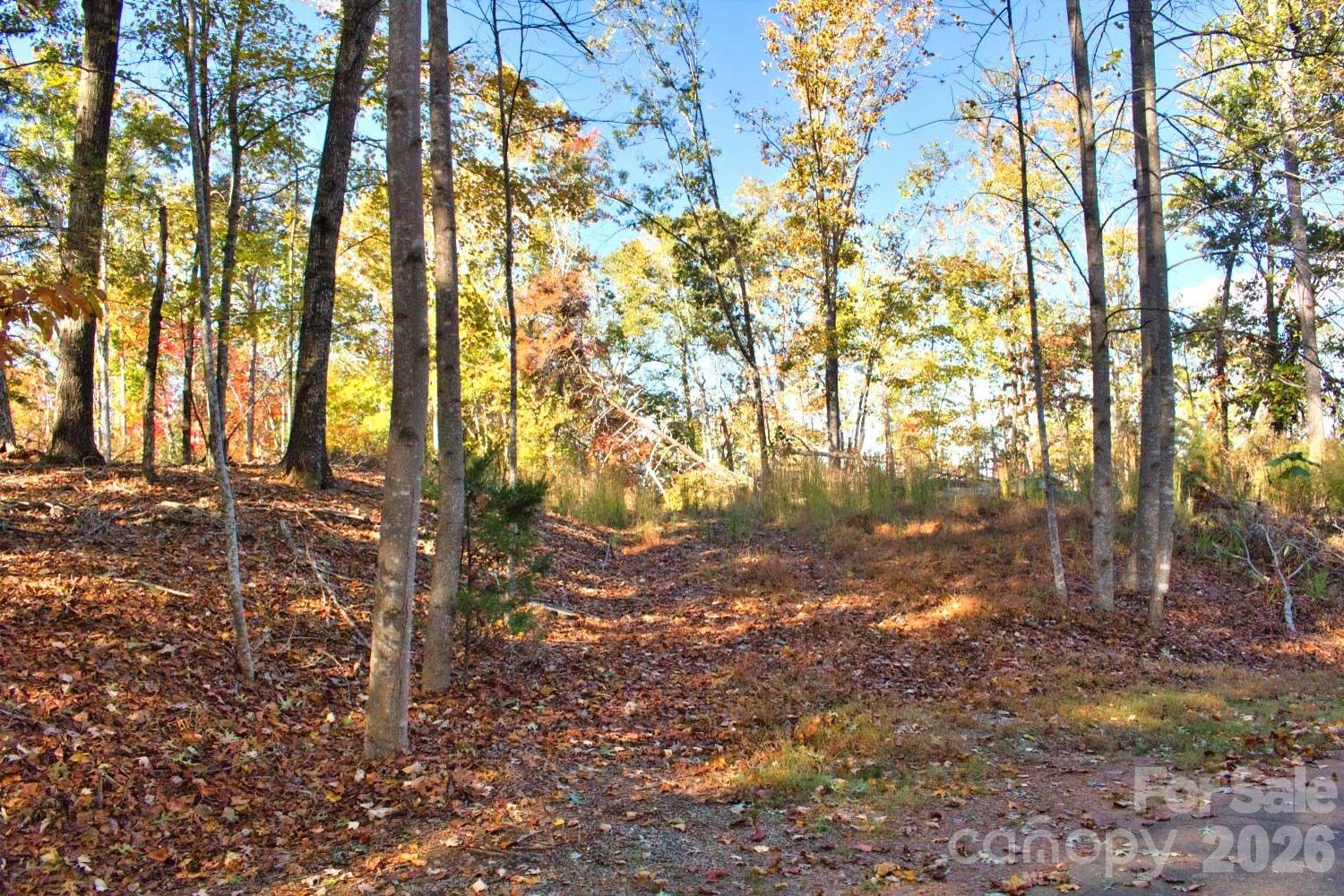 0 Wilderness Ridge #15