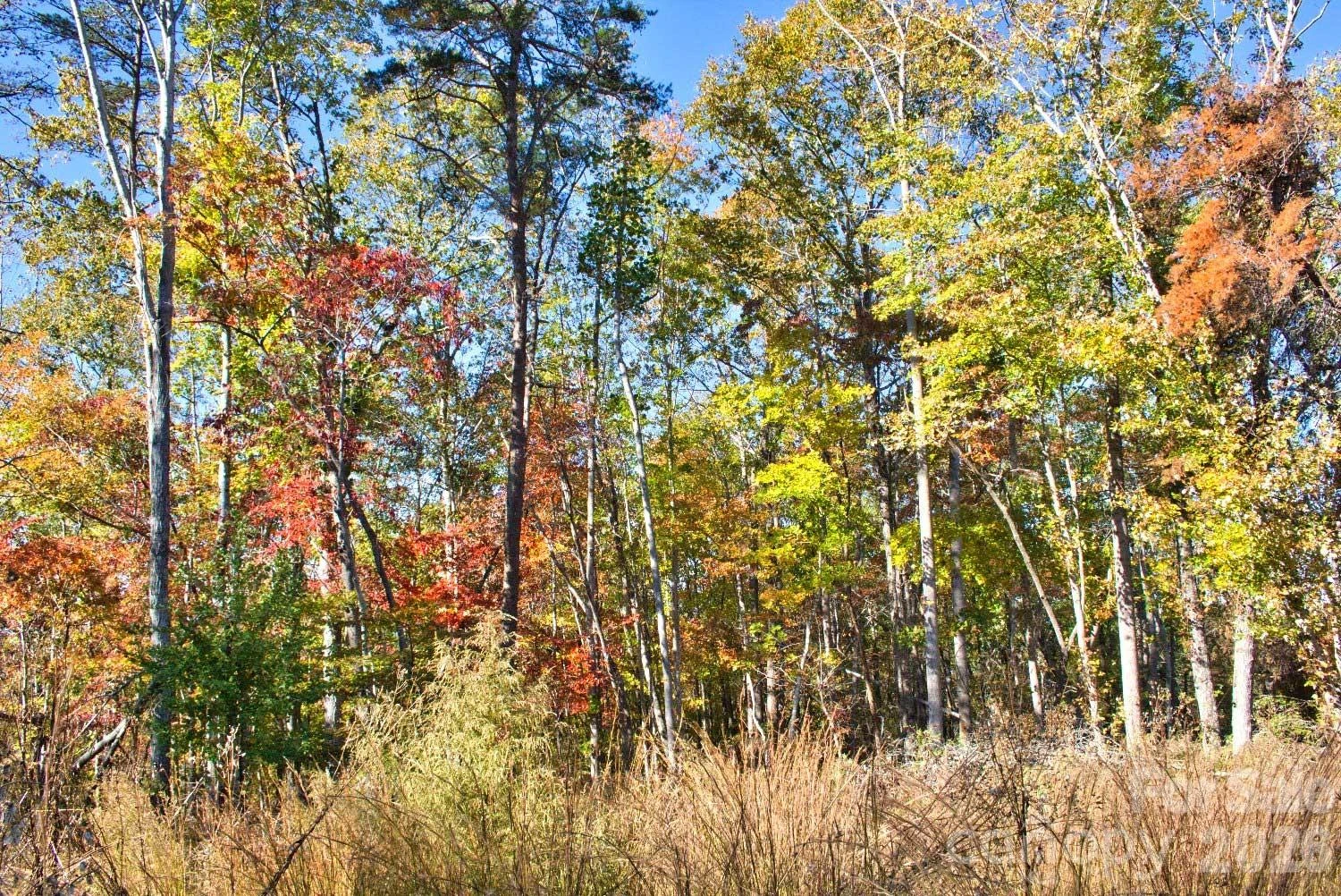 0 Wilderness Ridge #15 - Photo 2