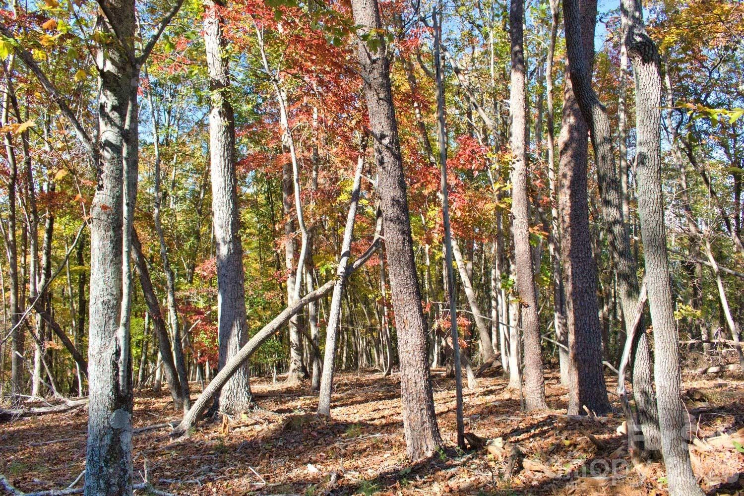 0 Wilderness Ridge #15 - Photo 3