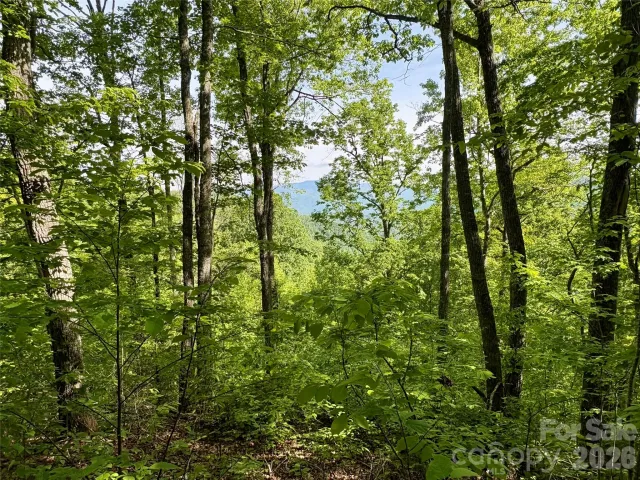 0 Carpenter Road, Bryson City, NC, 28713