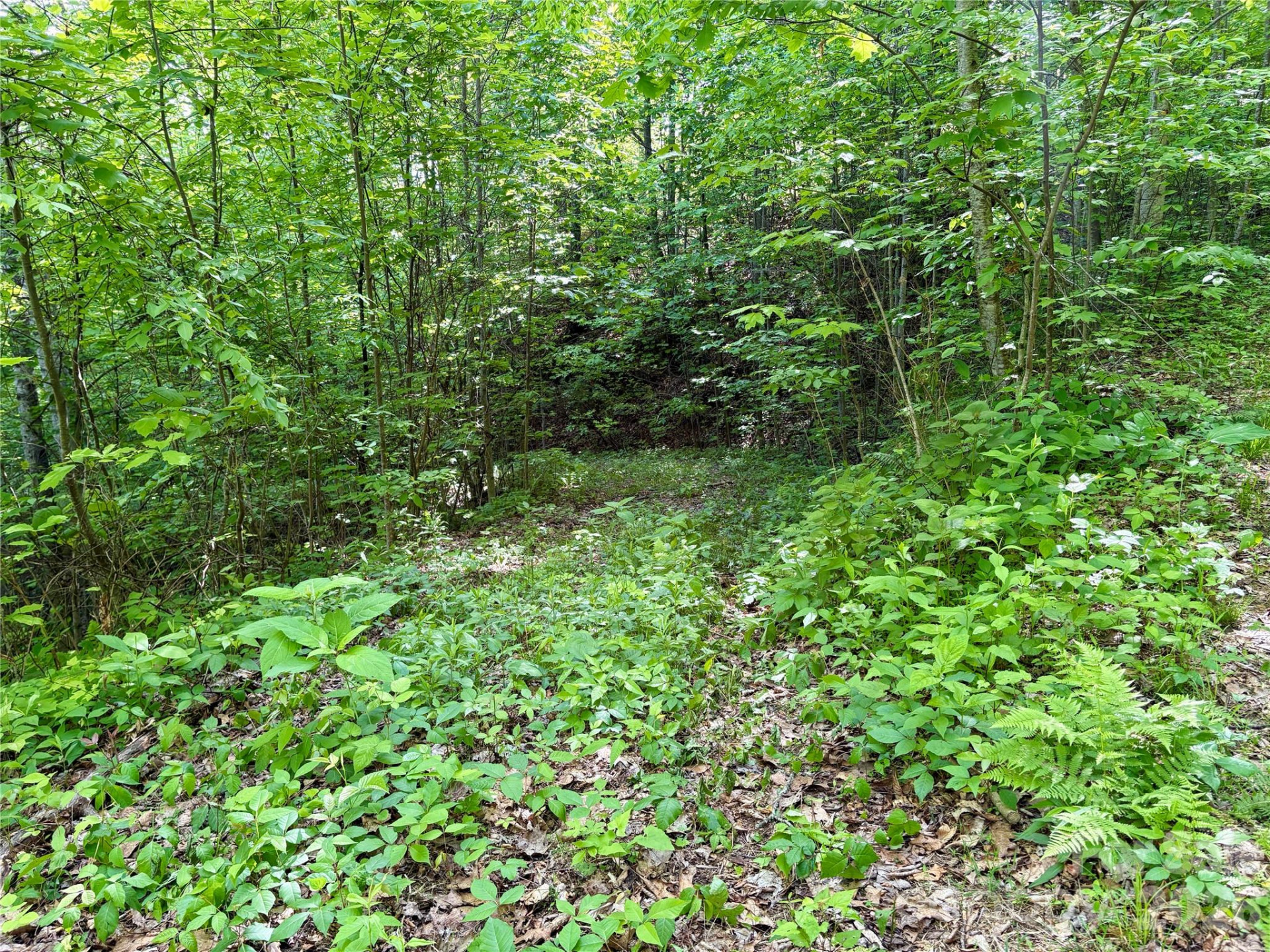 0 Carpenter Road - Photo 11