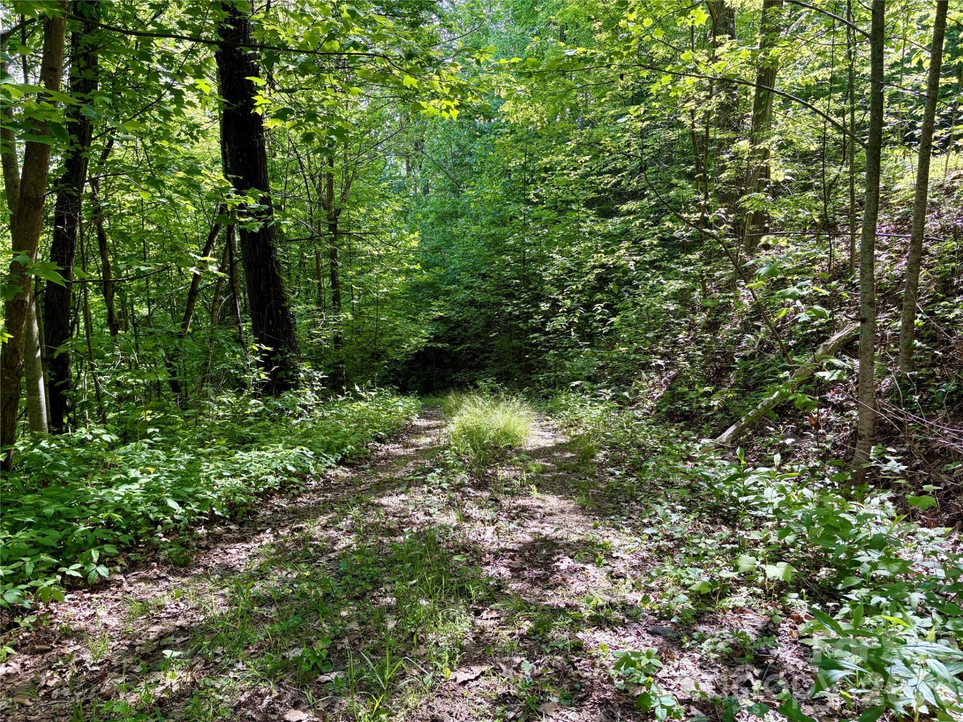 0 Carpenter Road - Photo 12