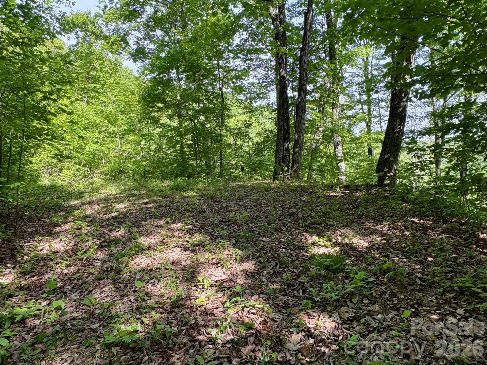 0 Carpenter Road - Photo 13