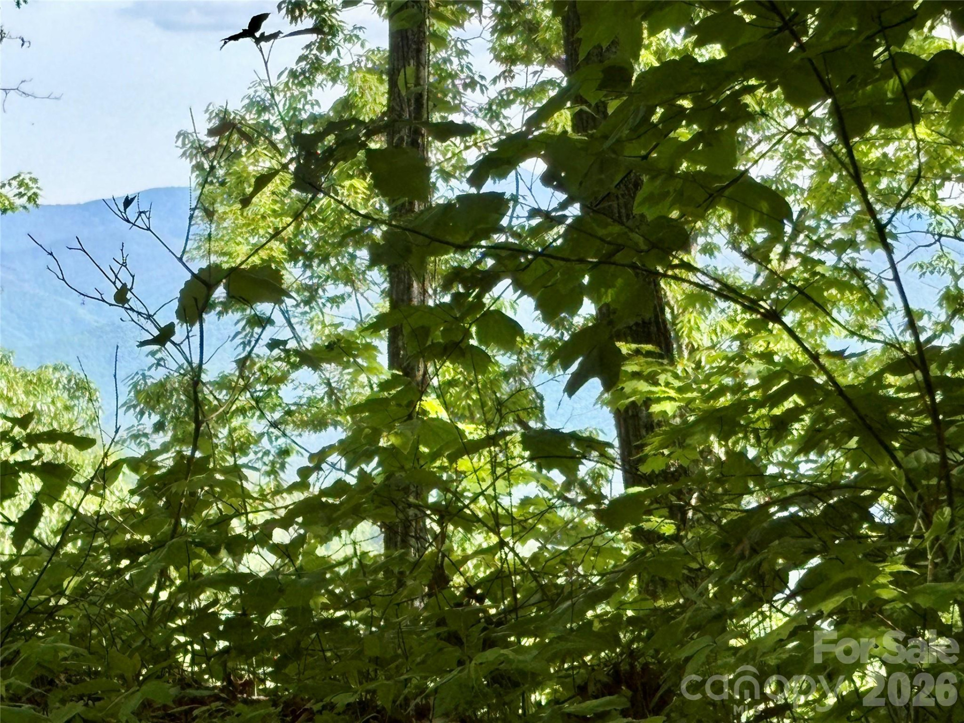 0 Carpenter Road - Photo 14