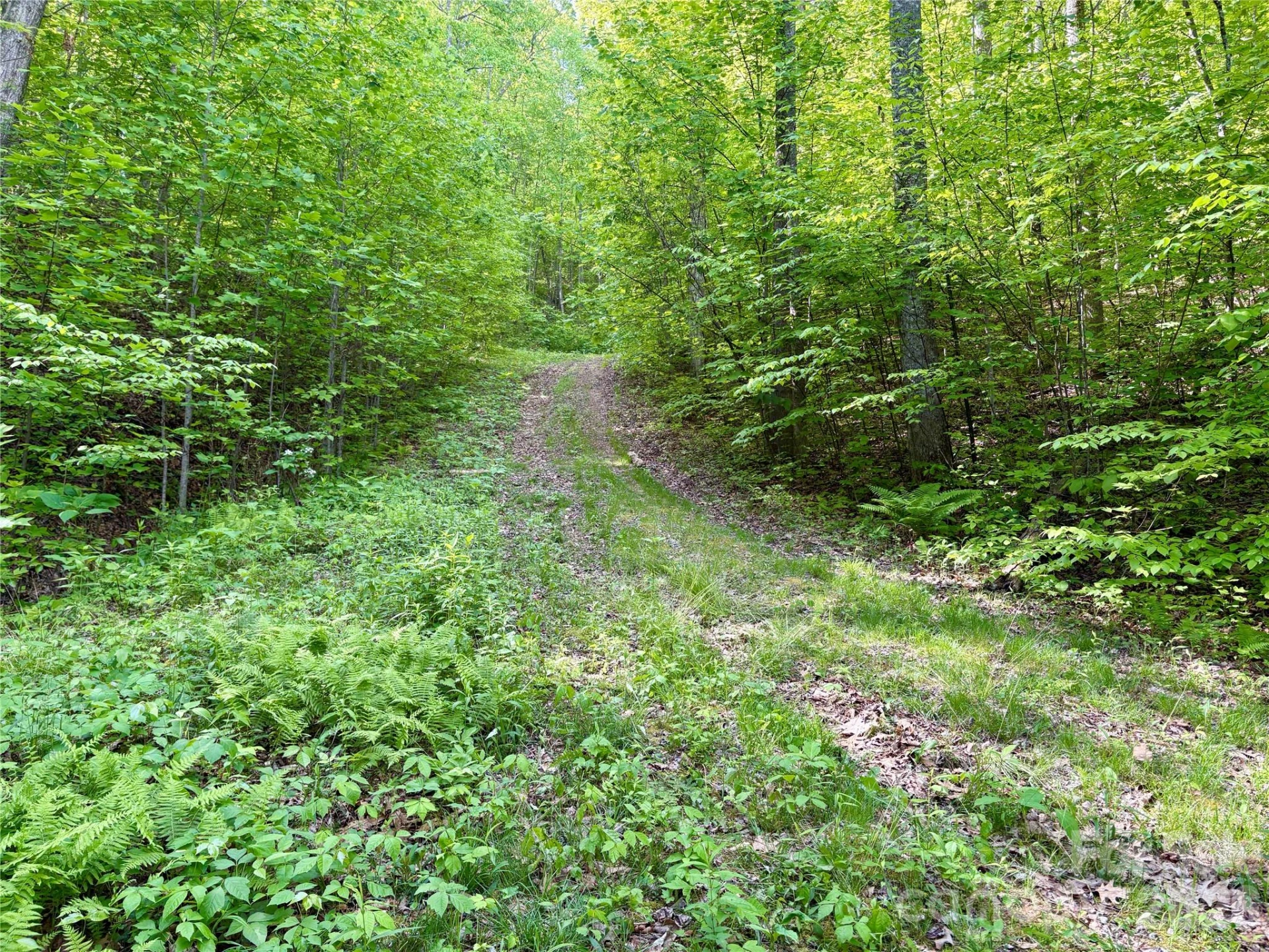 0 Carpenter Road - Photo 15