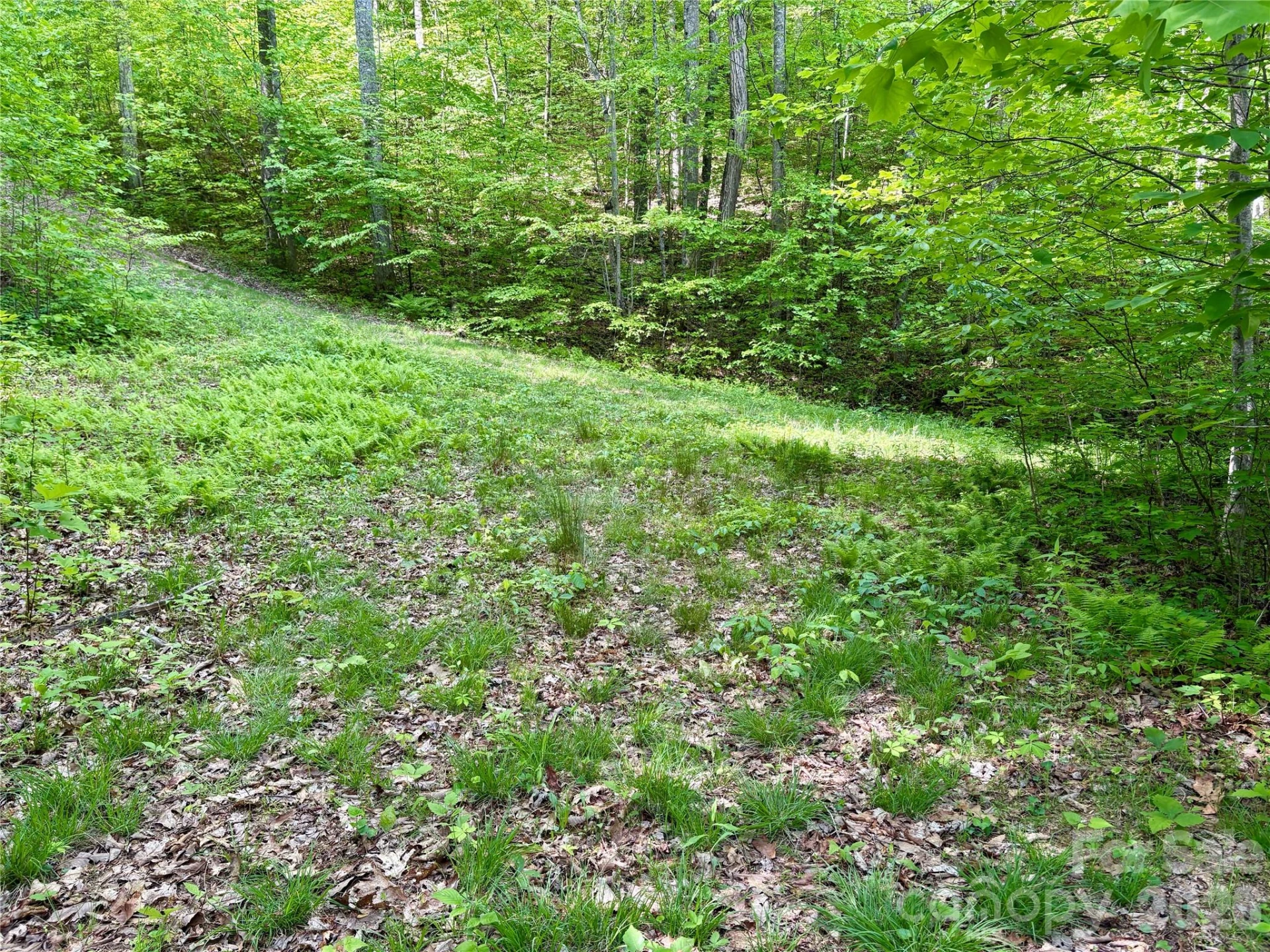 0 Carpenter Road - Photo 17