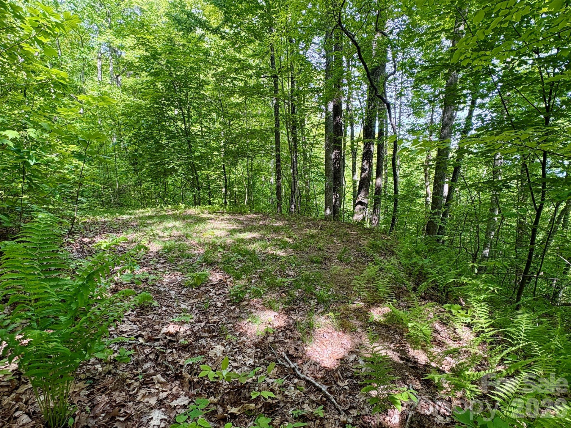 0 Carpenter Road - Photo 18