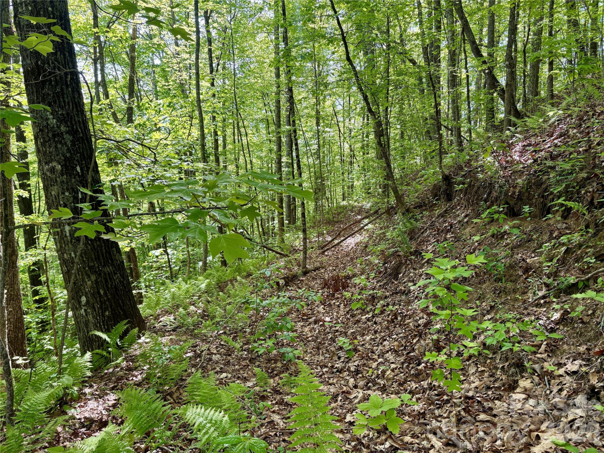 0 Carpenter Road - Photo 19