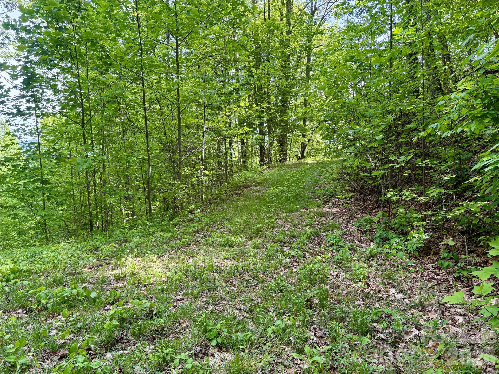 0 Carpenter Road - Photo 20