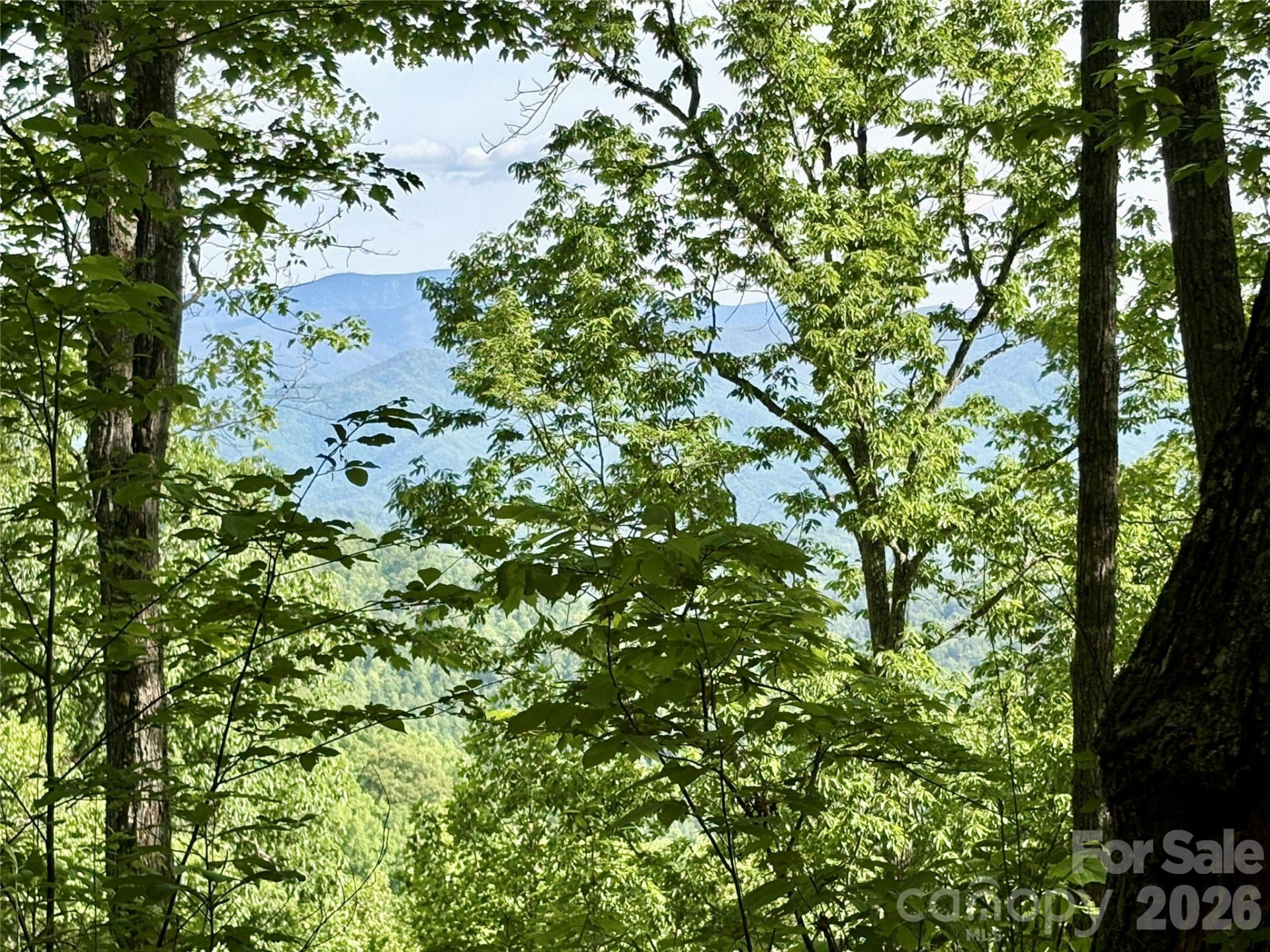 0 Carpenter Road - Photo 3