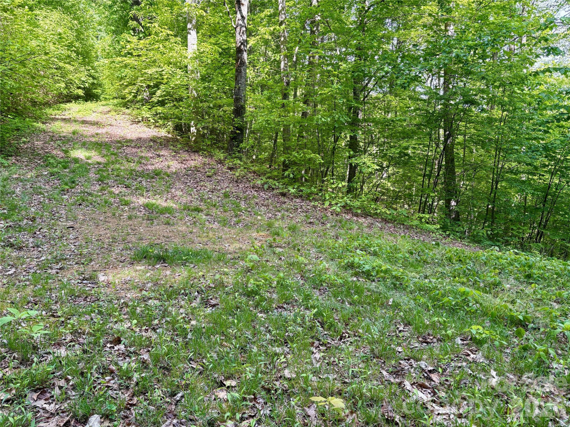 0 Carpenter Road - Photo 21