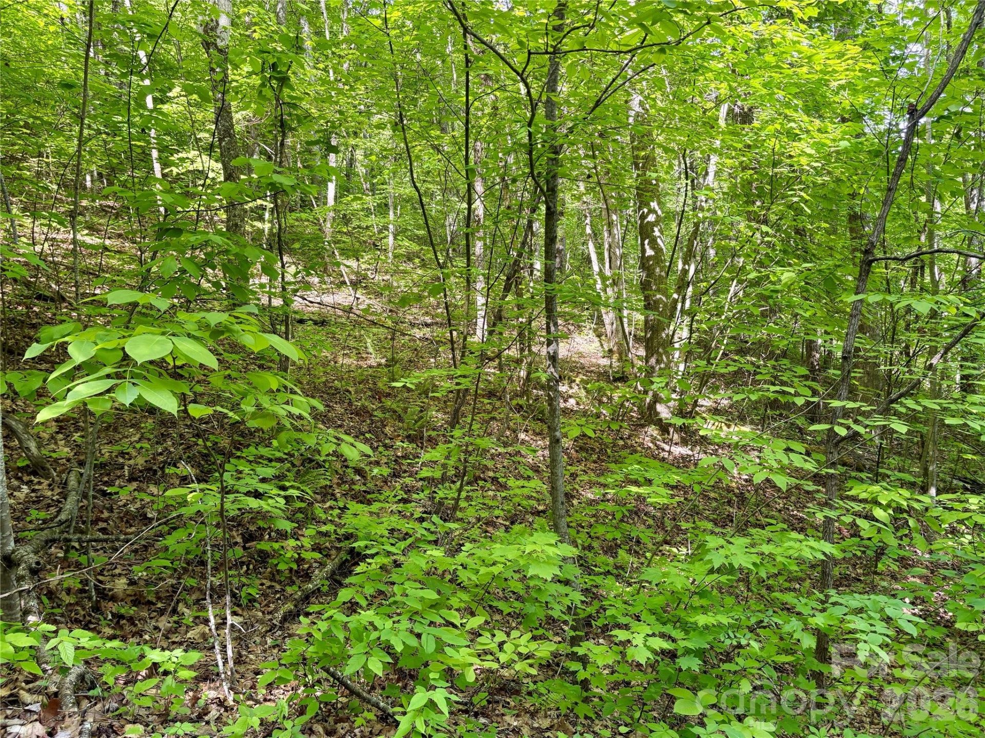 0 Carpenter Road - Photo 22