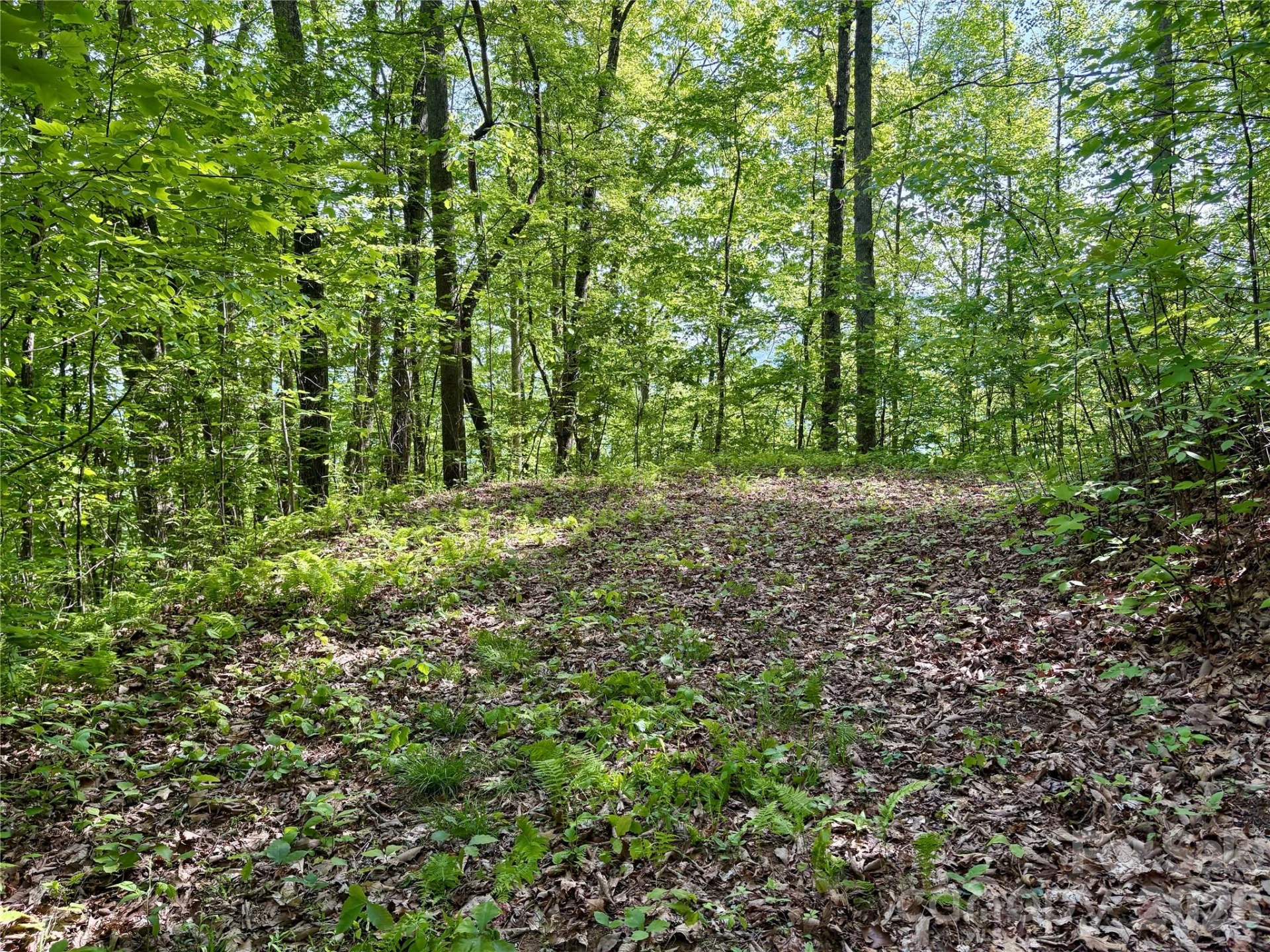0 Carpenter Road - Photo 23