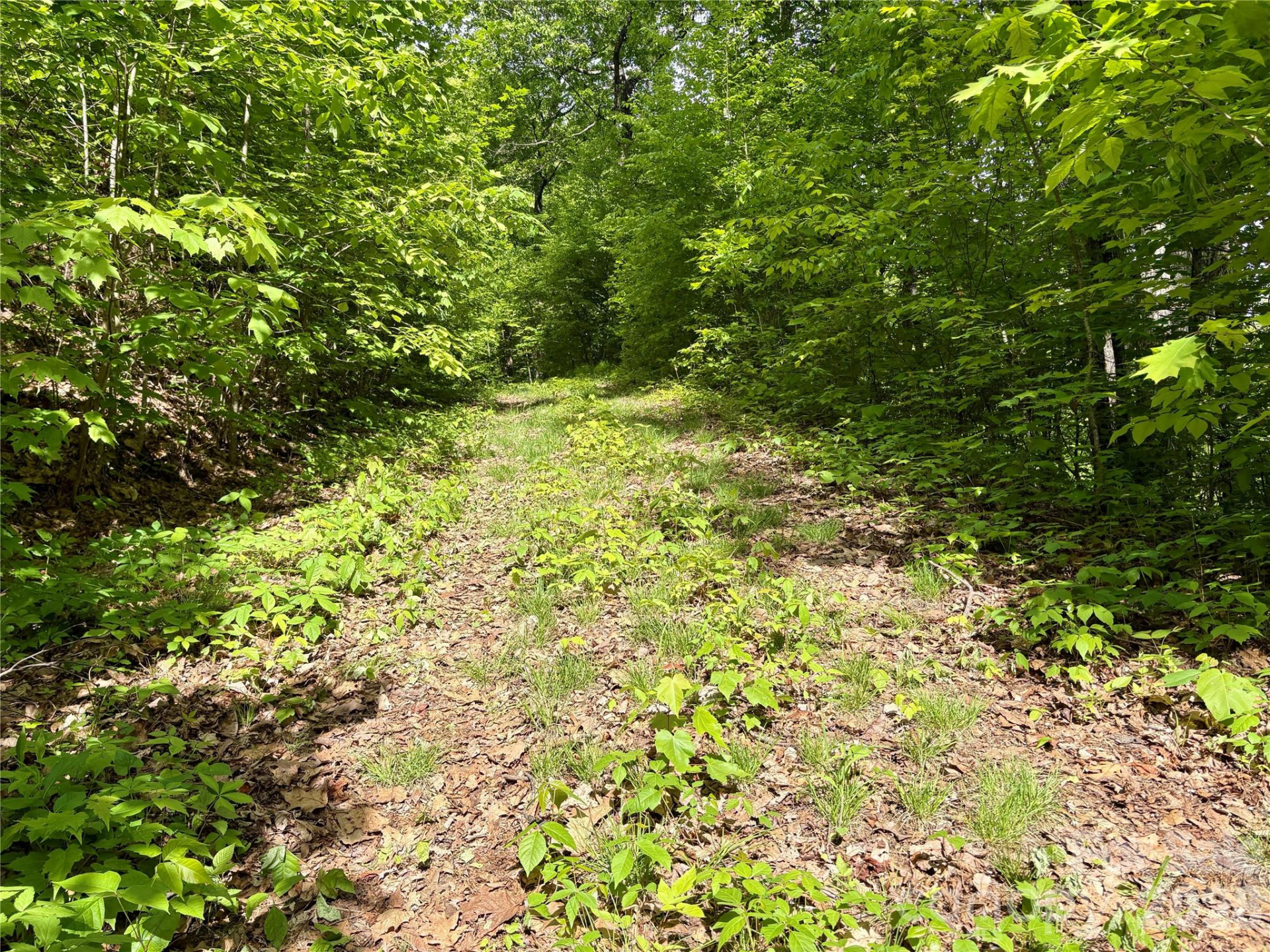 0 Carpenter Road - Photo 24