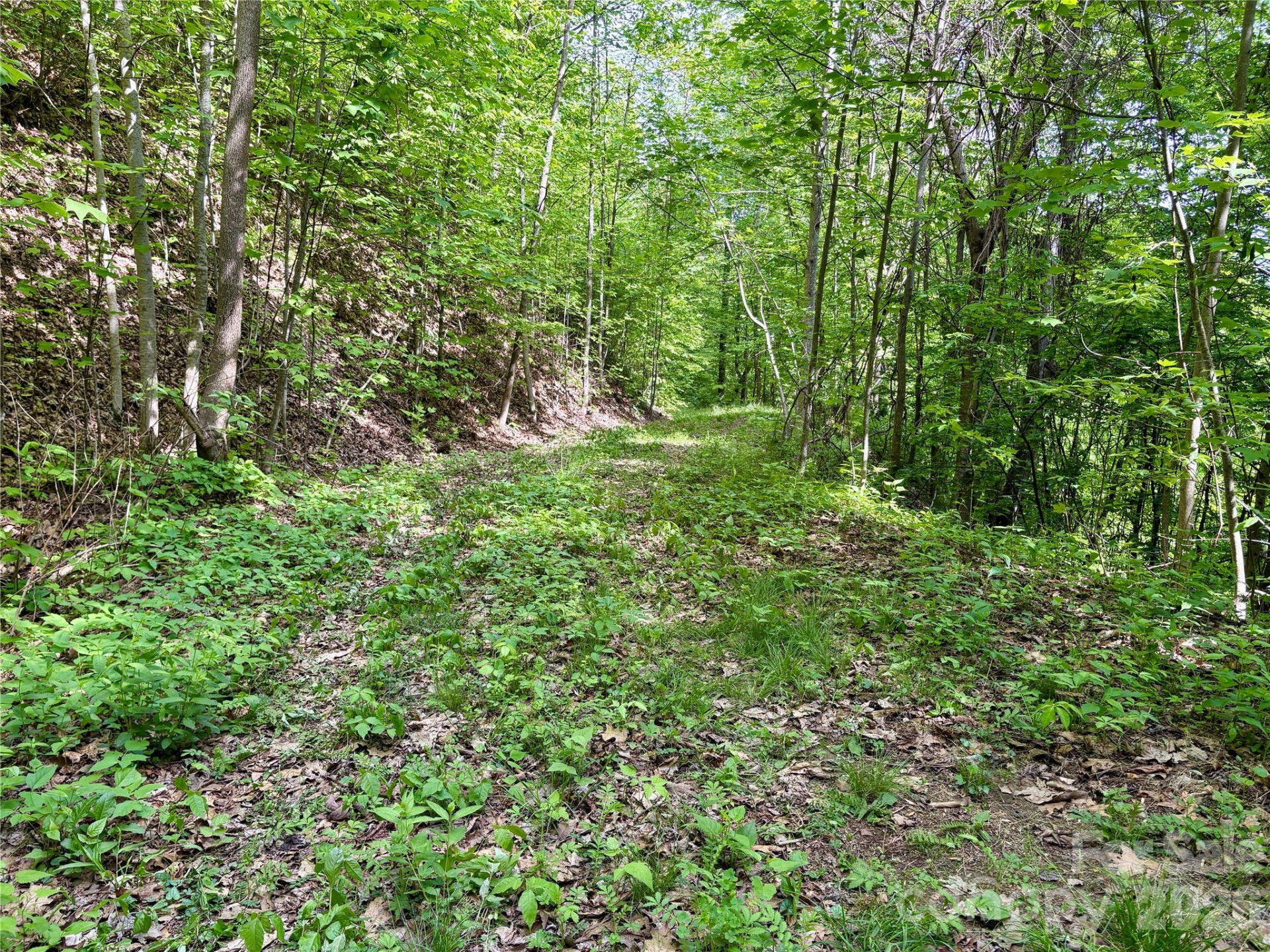 0 Carpenter Road - Photo 25