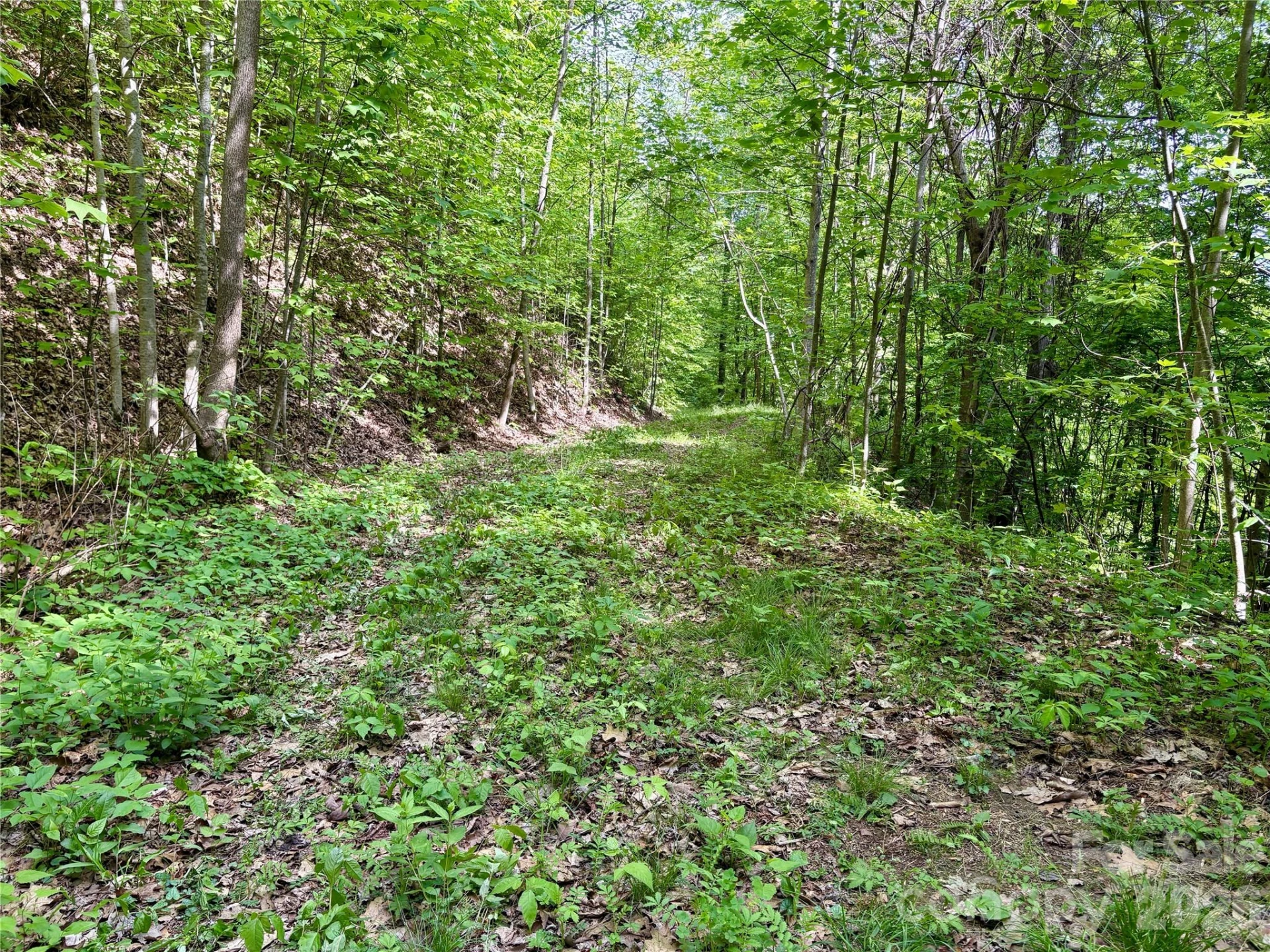 0 Carpenter Road - Photo 25