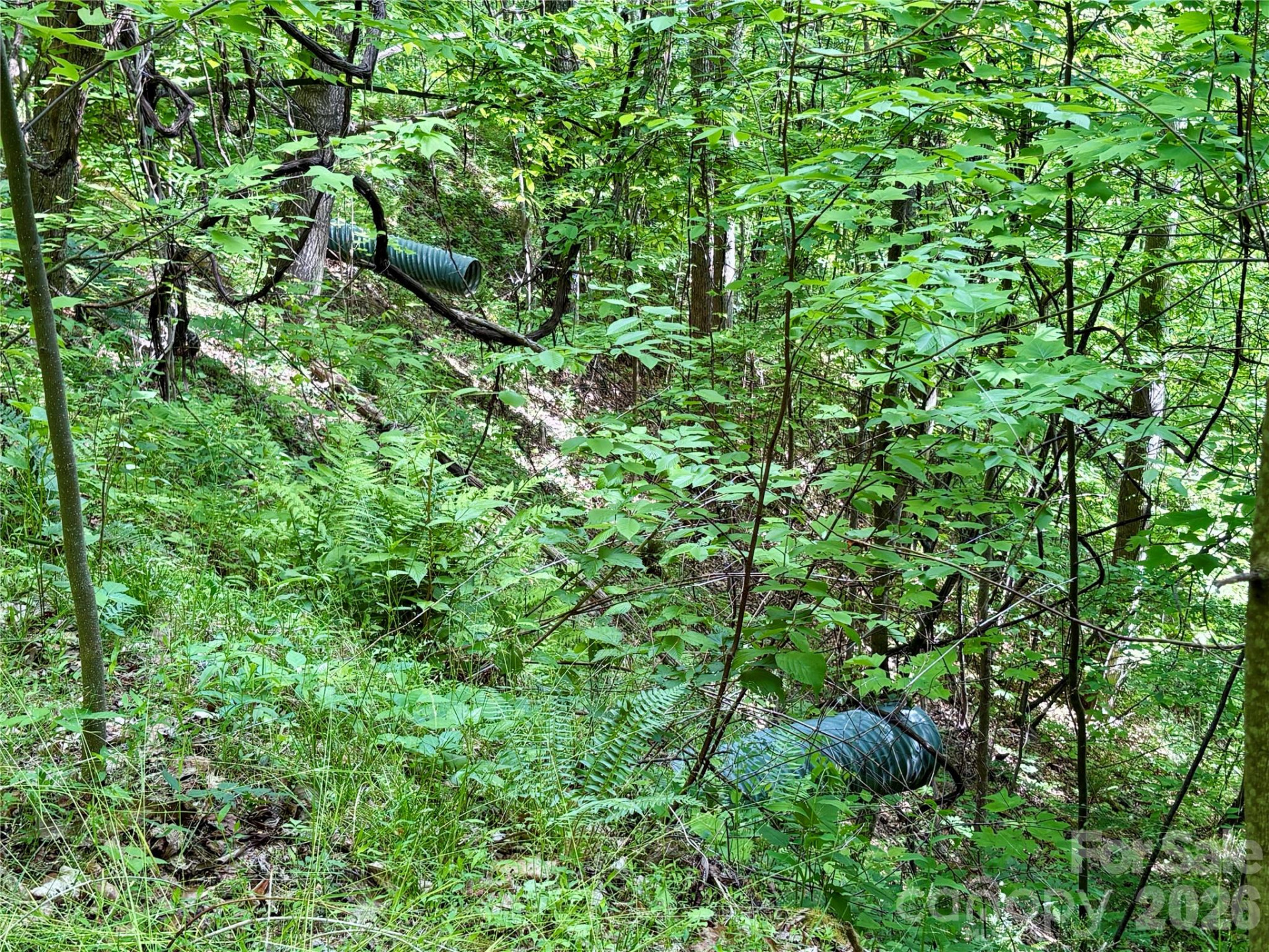 0 Carpenter Road - Photo 26