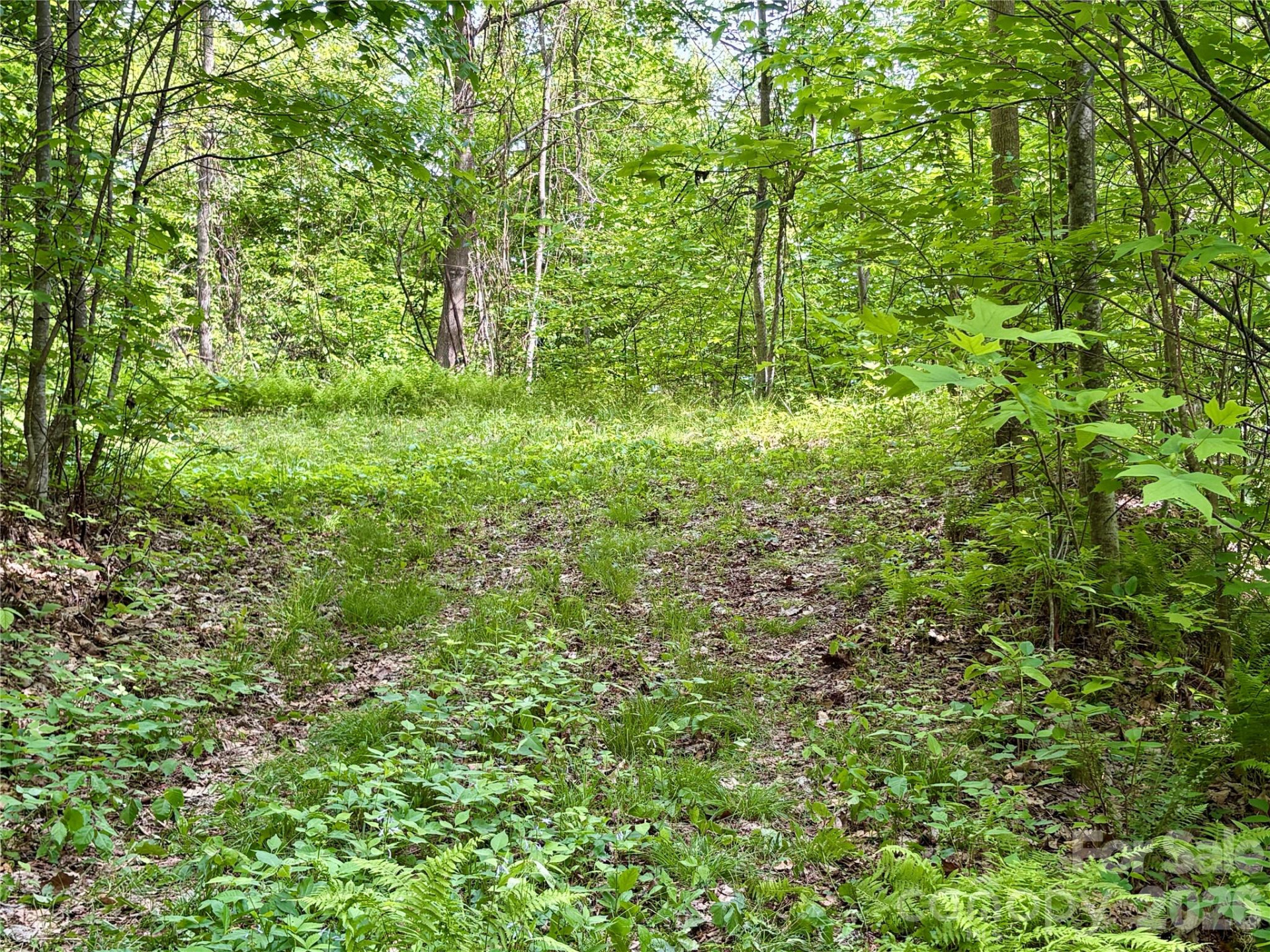 0 Carpenter Road - Photo 27