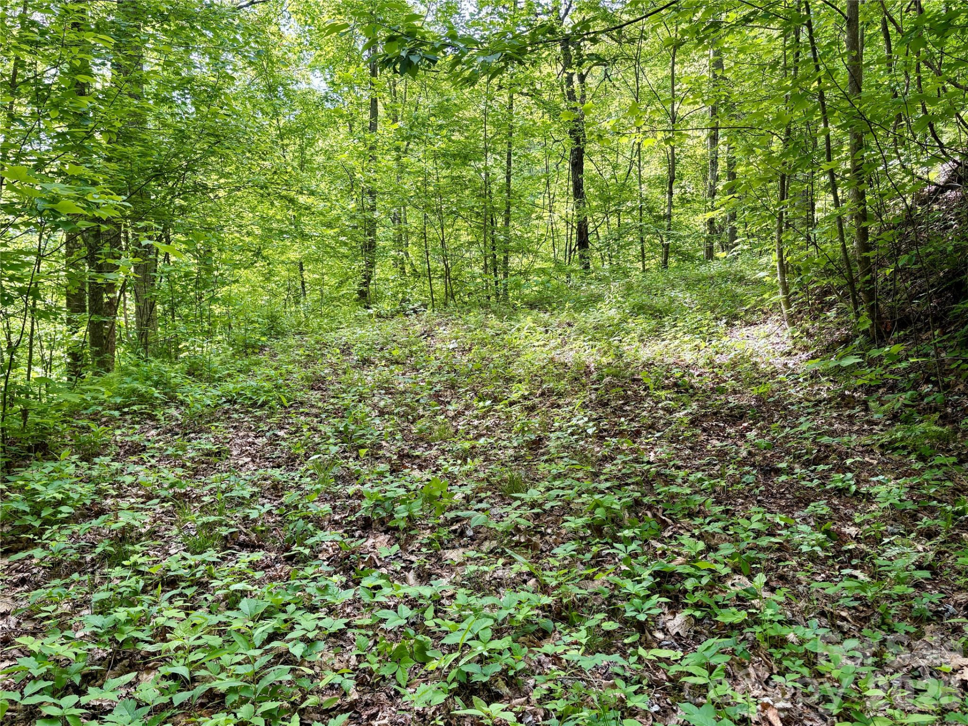 0 Carpenter Road - Photo 28