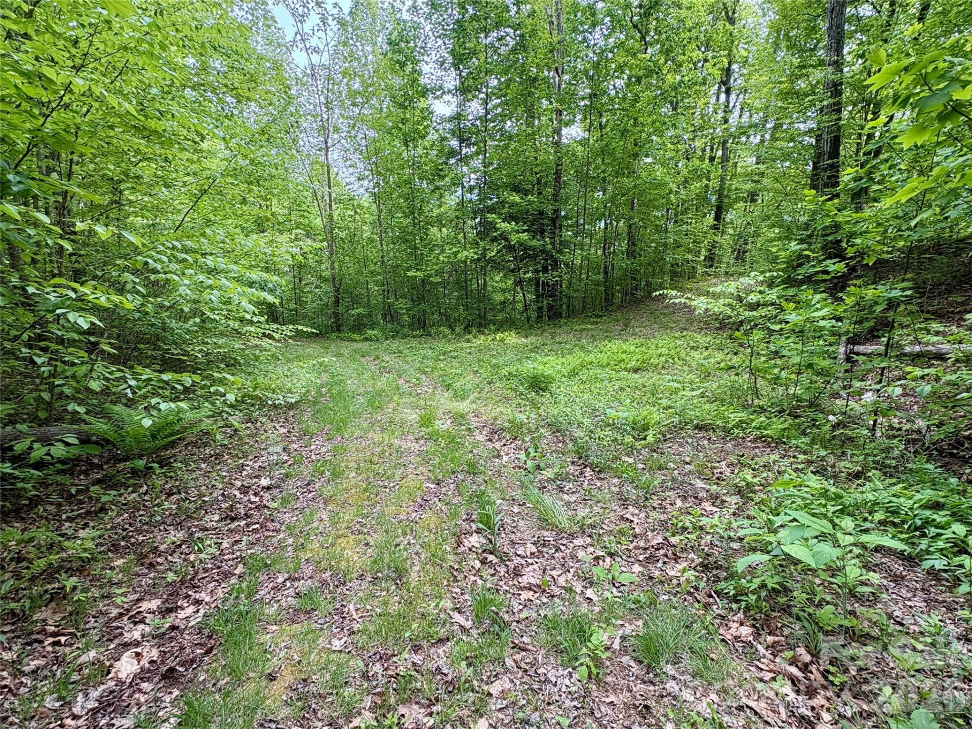 0 Carpenter Road - Photo 29