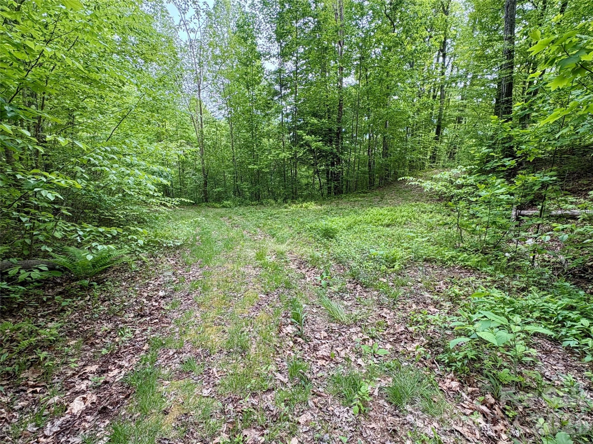 0 Carpenter Road - Photo 29