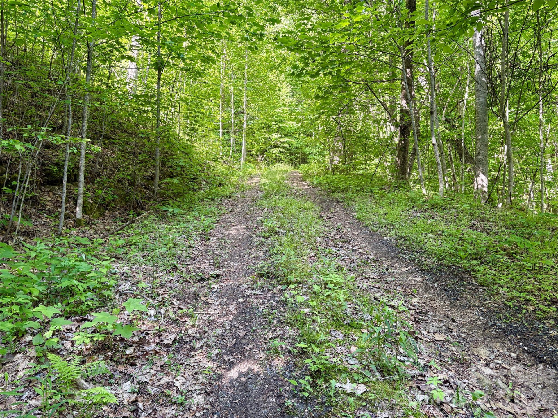 0 Carpenter Road - Photo 4