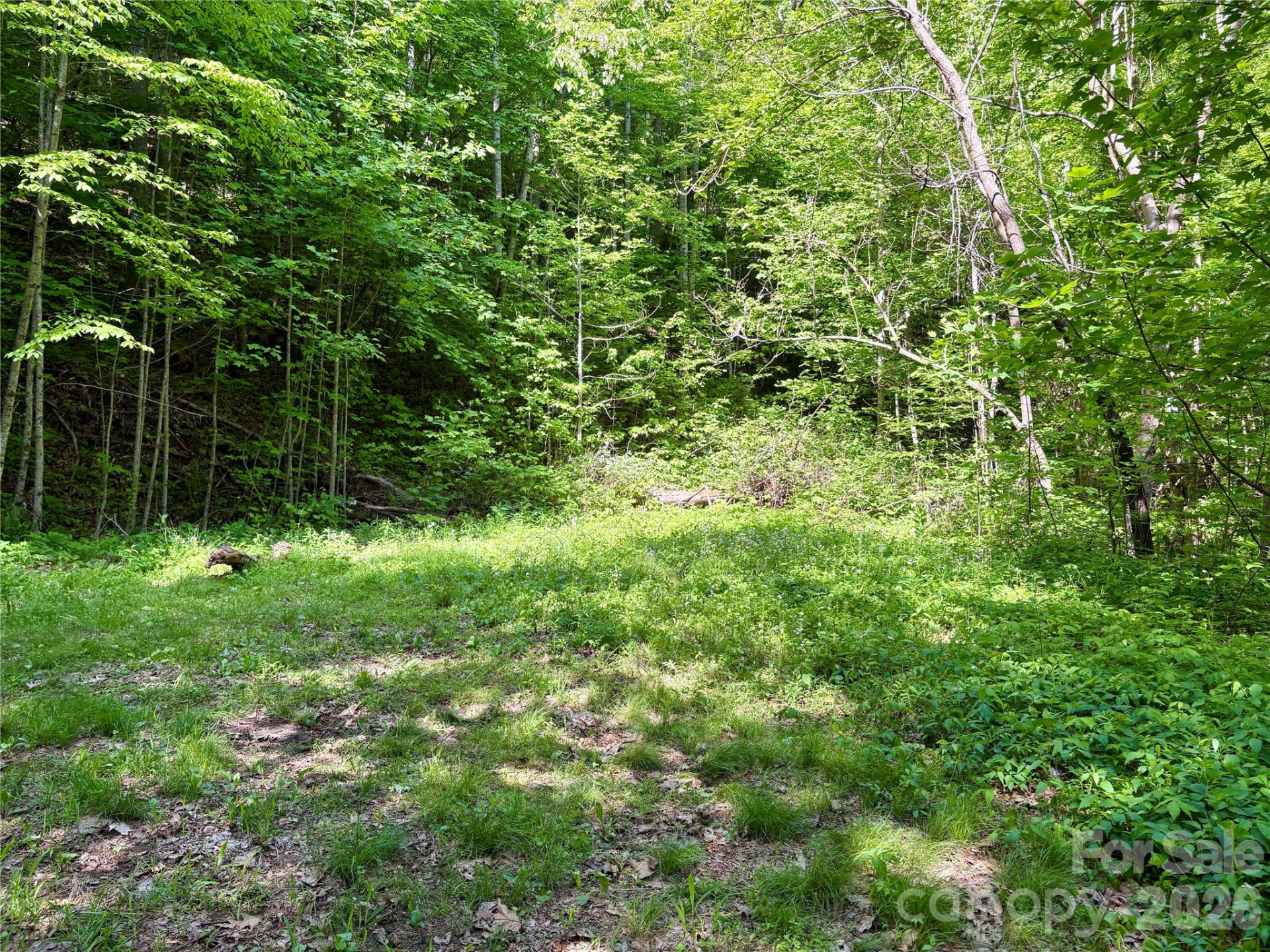 0 Carpenter Road - Photo 7