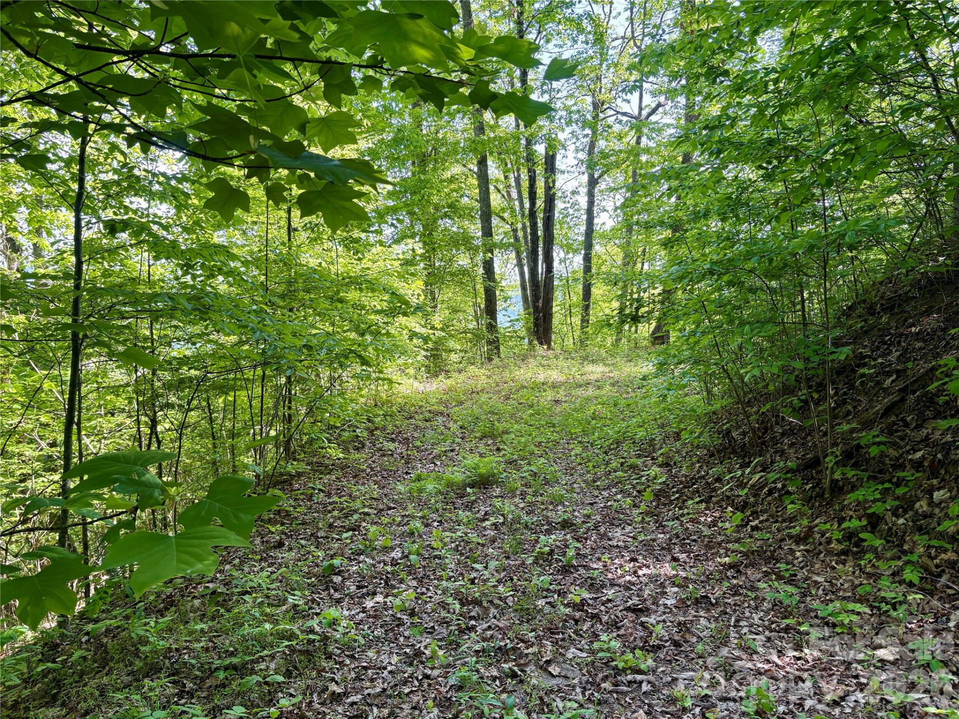 0 Carpenter Road - Photo 9