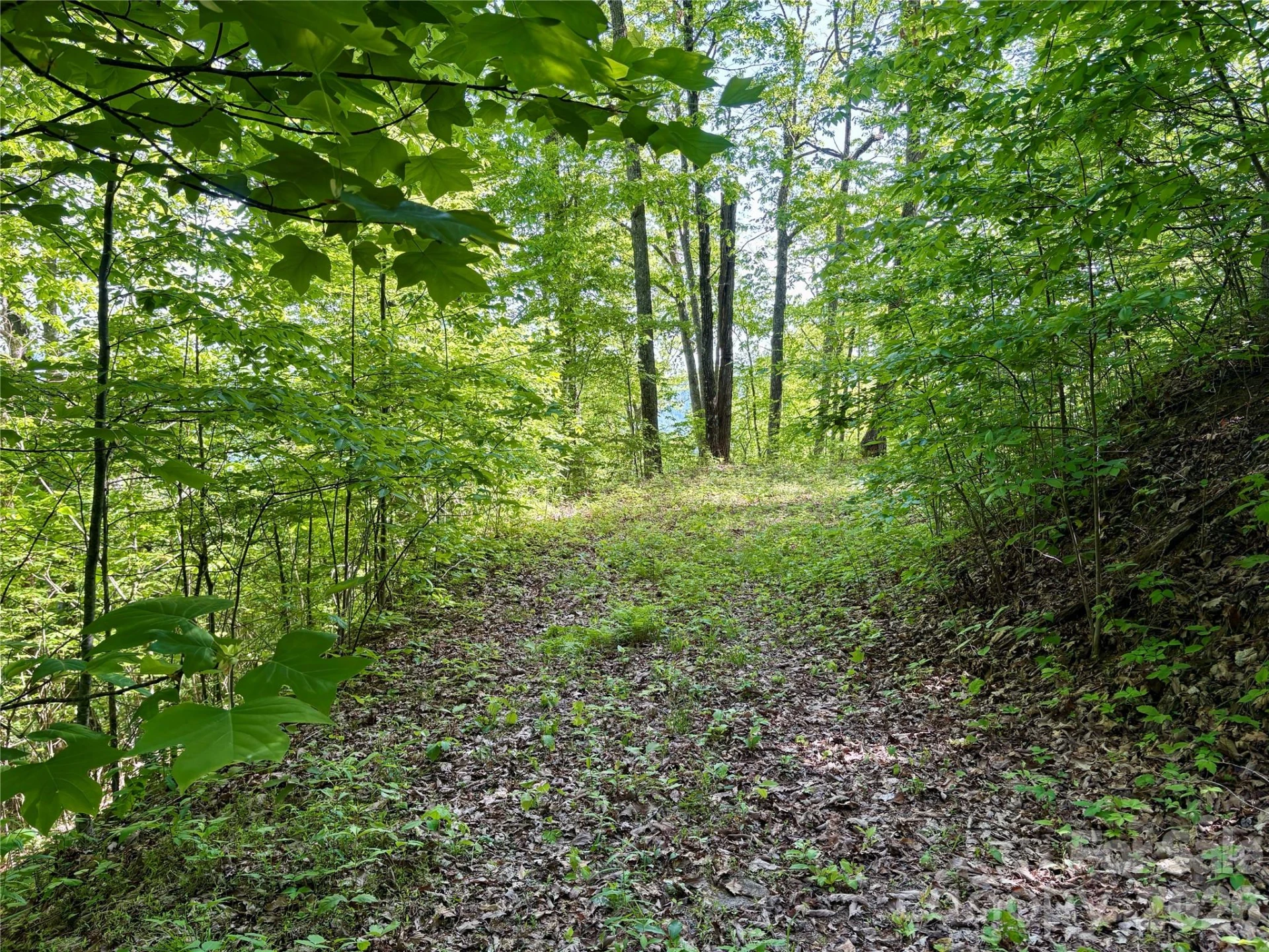0 Carpenter Road - Photo 9