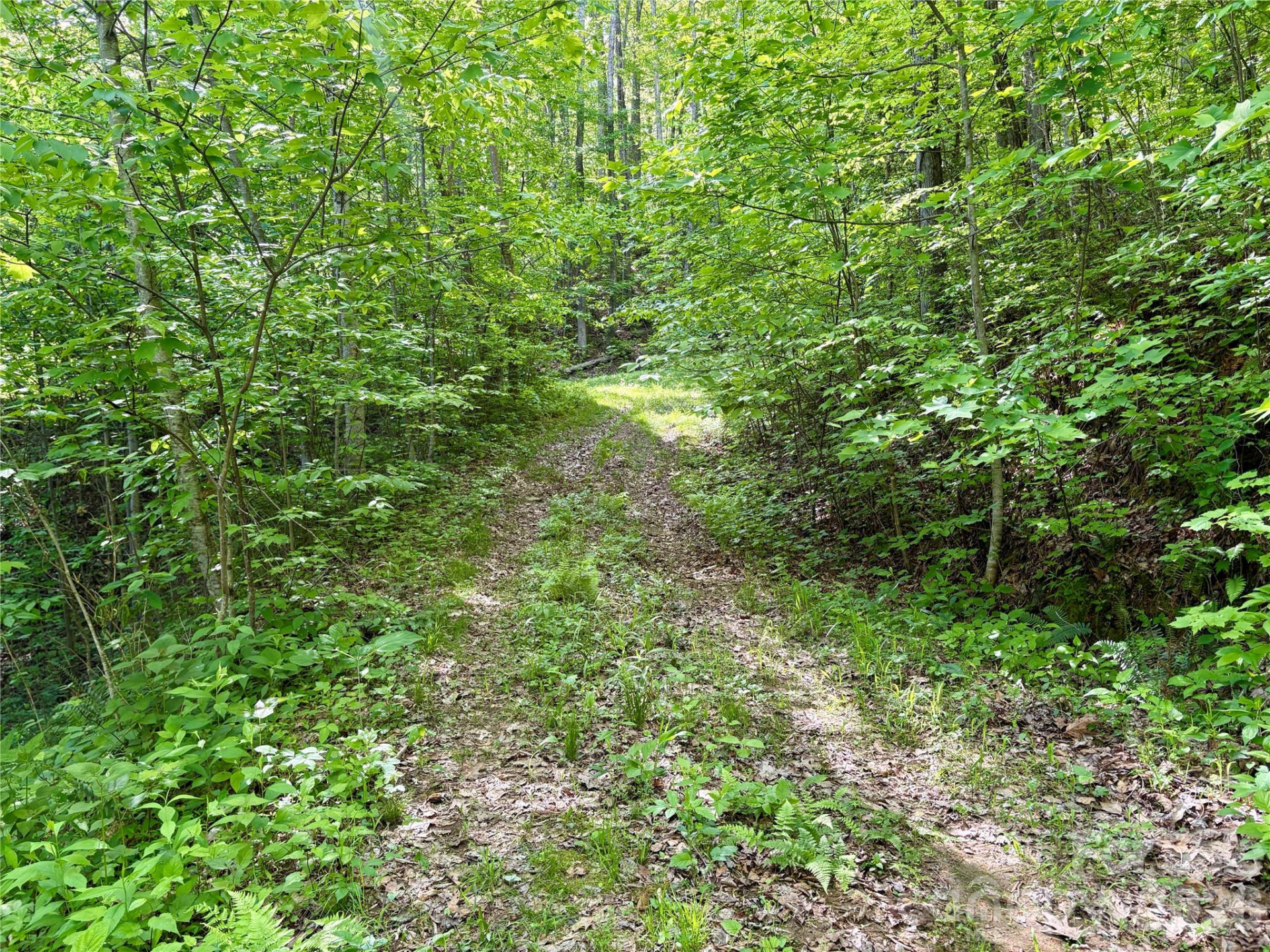 0 Carpenter Road - Photo 10