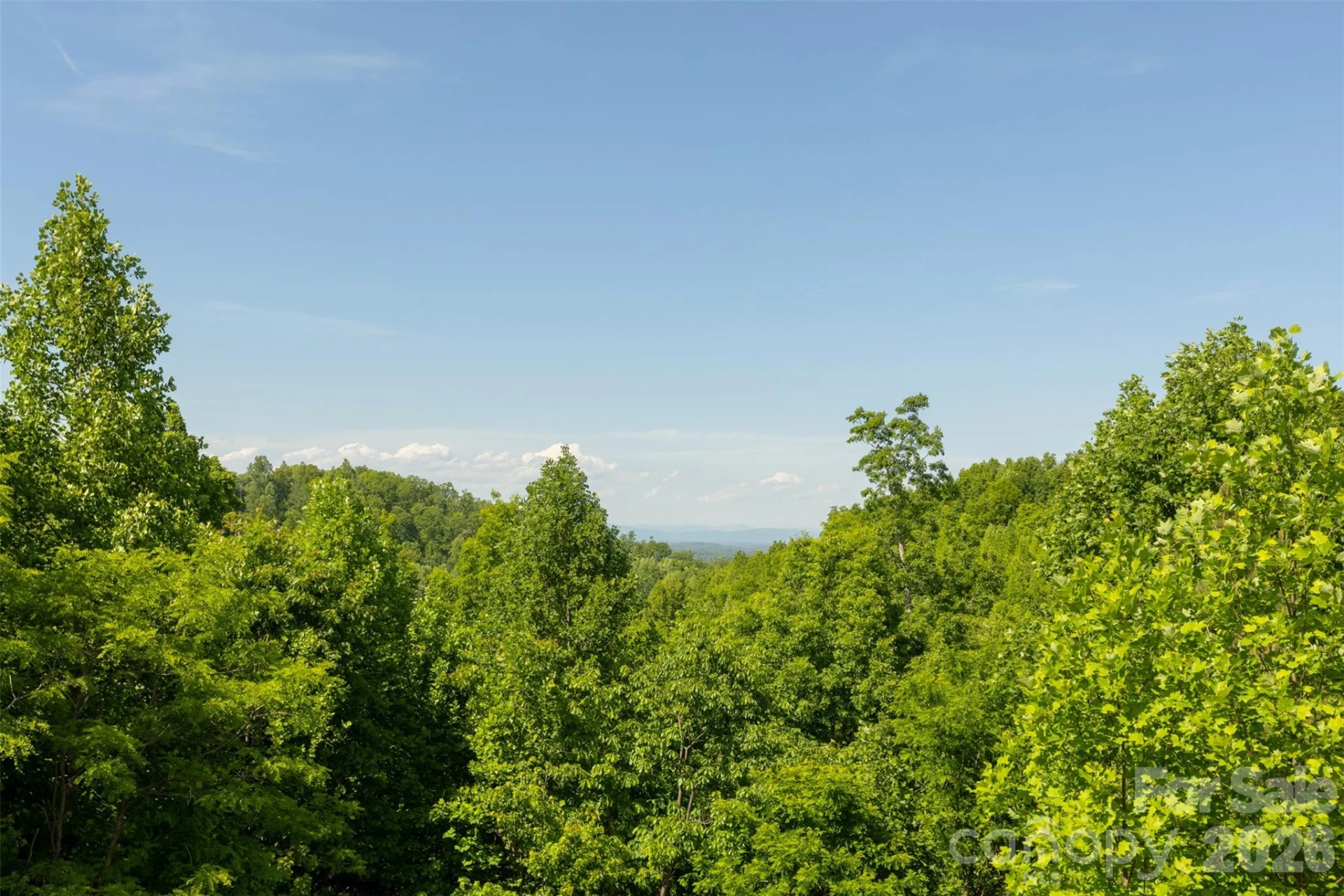 170 Summit Drive - Photo 48
