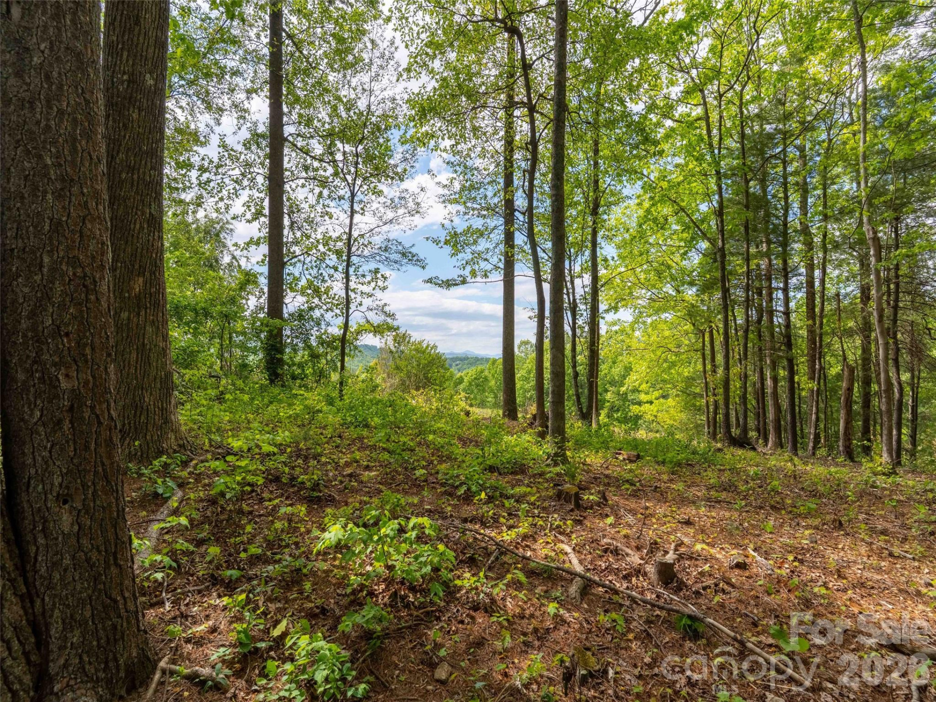 661 Whites Lake Boulevard - Photo 7