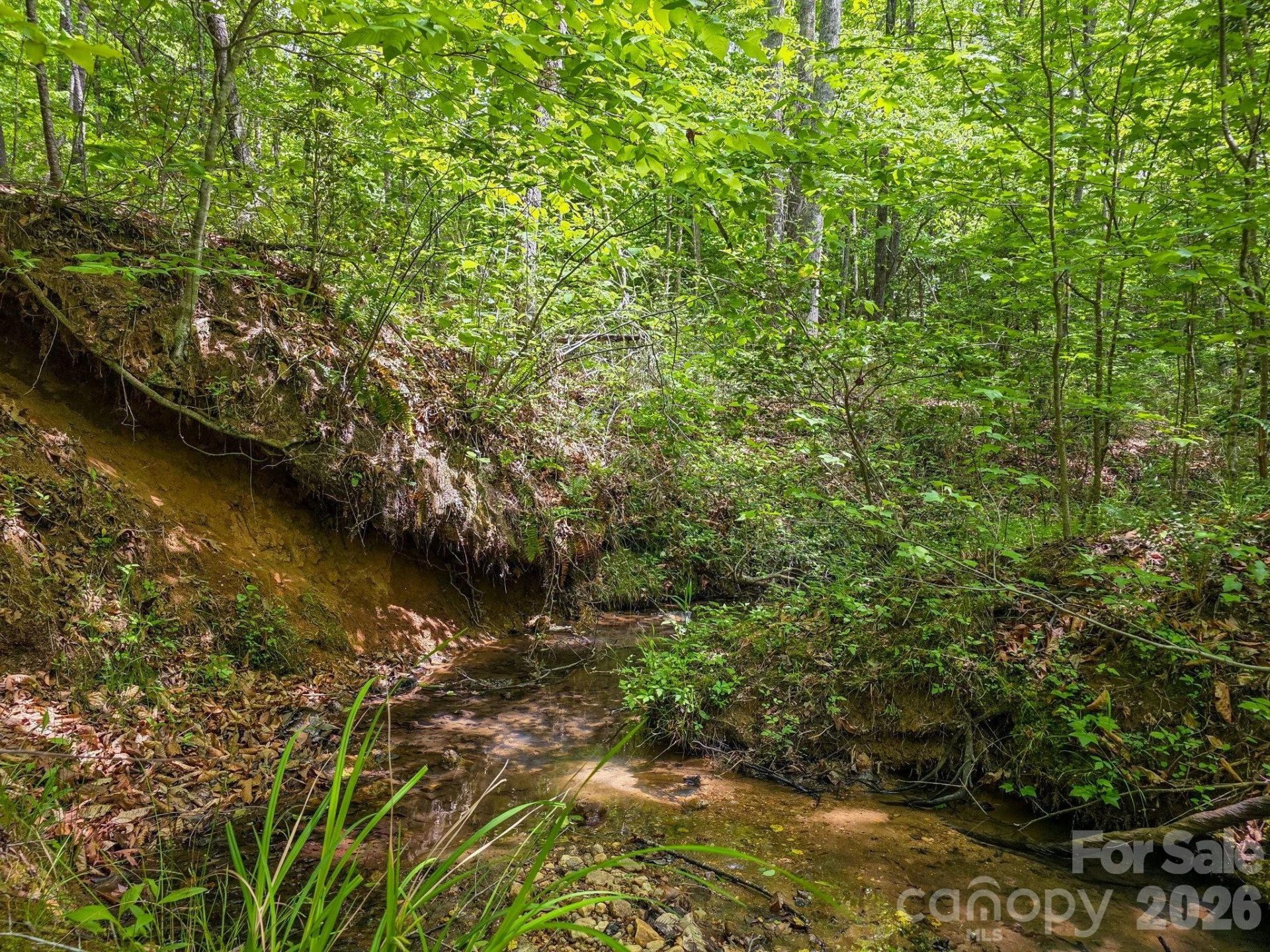 0 Romey Campbell Road - Photo 2