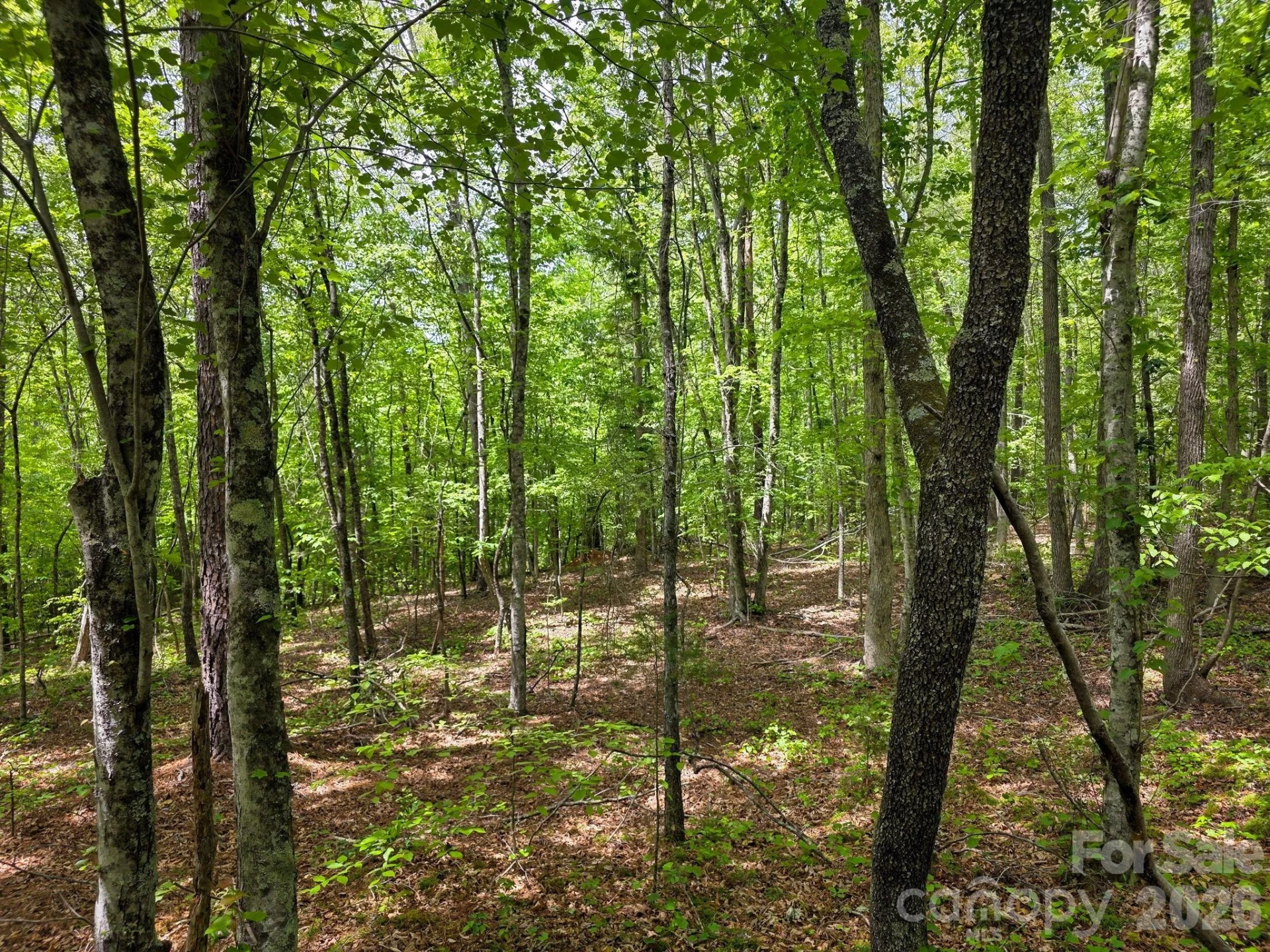 0 Romey Campbell Road - Photo 15