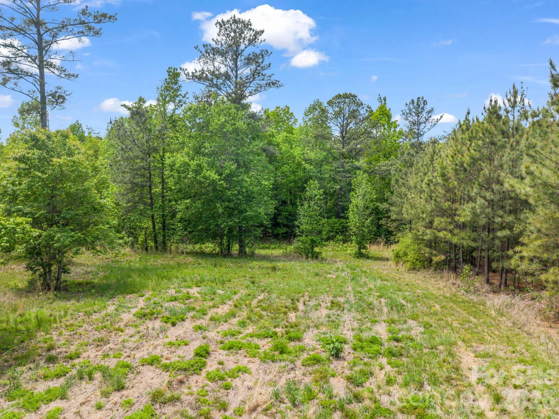 0 Romey Campbell Road - Photo 18