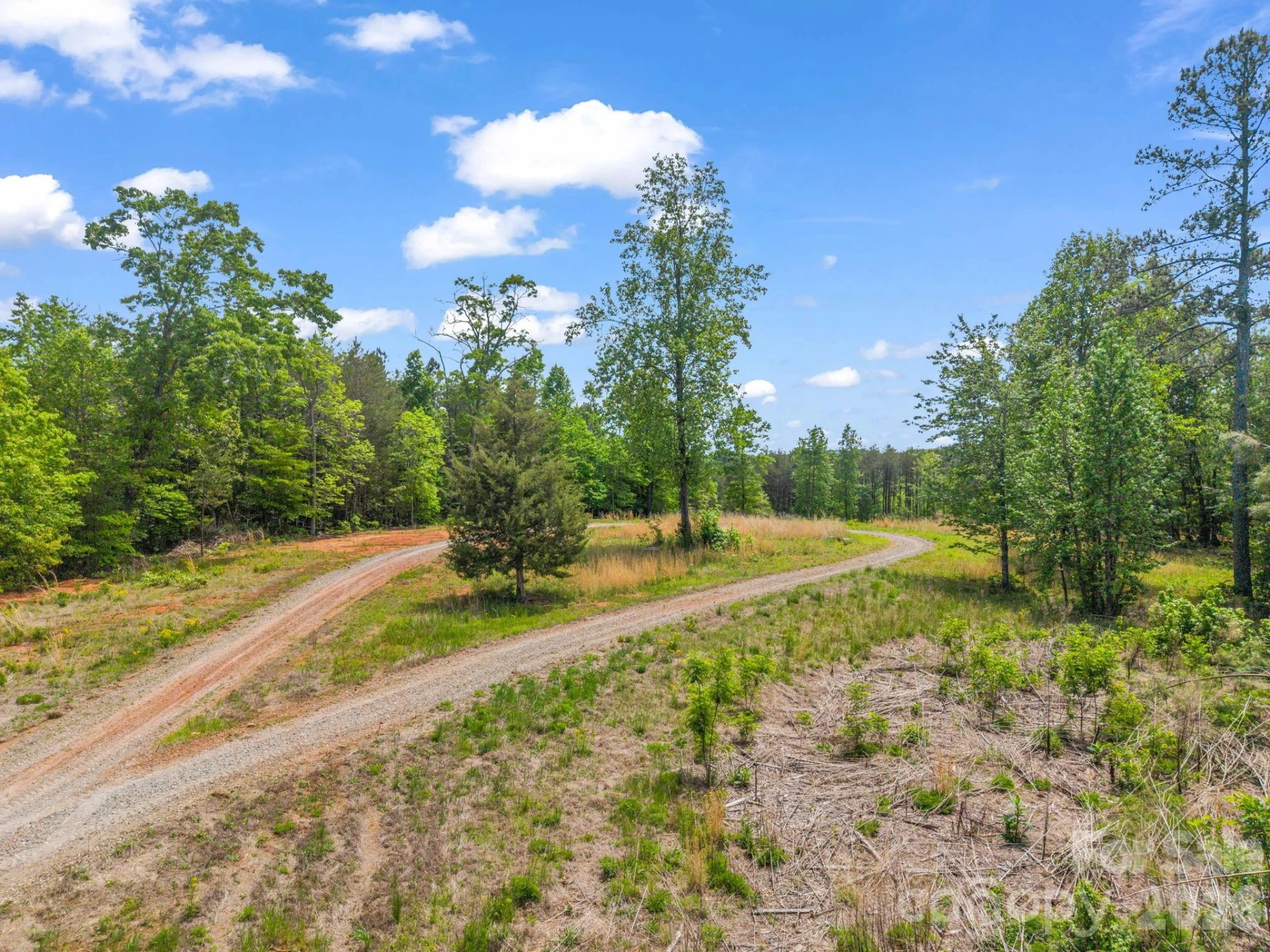 0 Romey Campbell Road - Photo 3