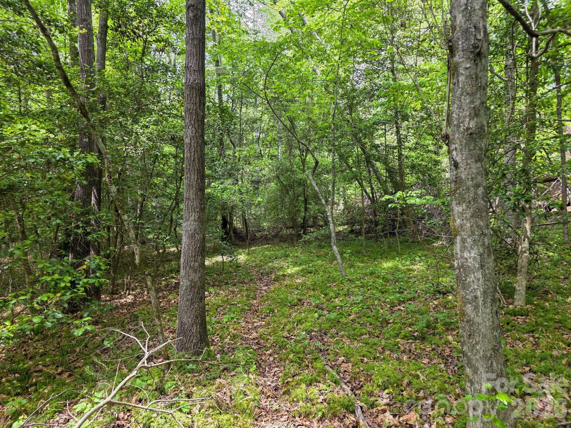 0 Romey Campbell Road - Photo 24