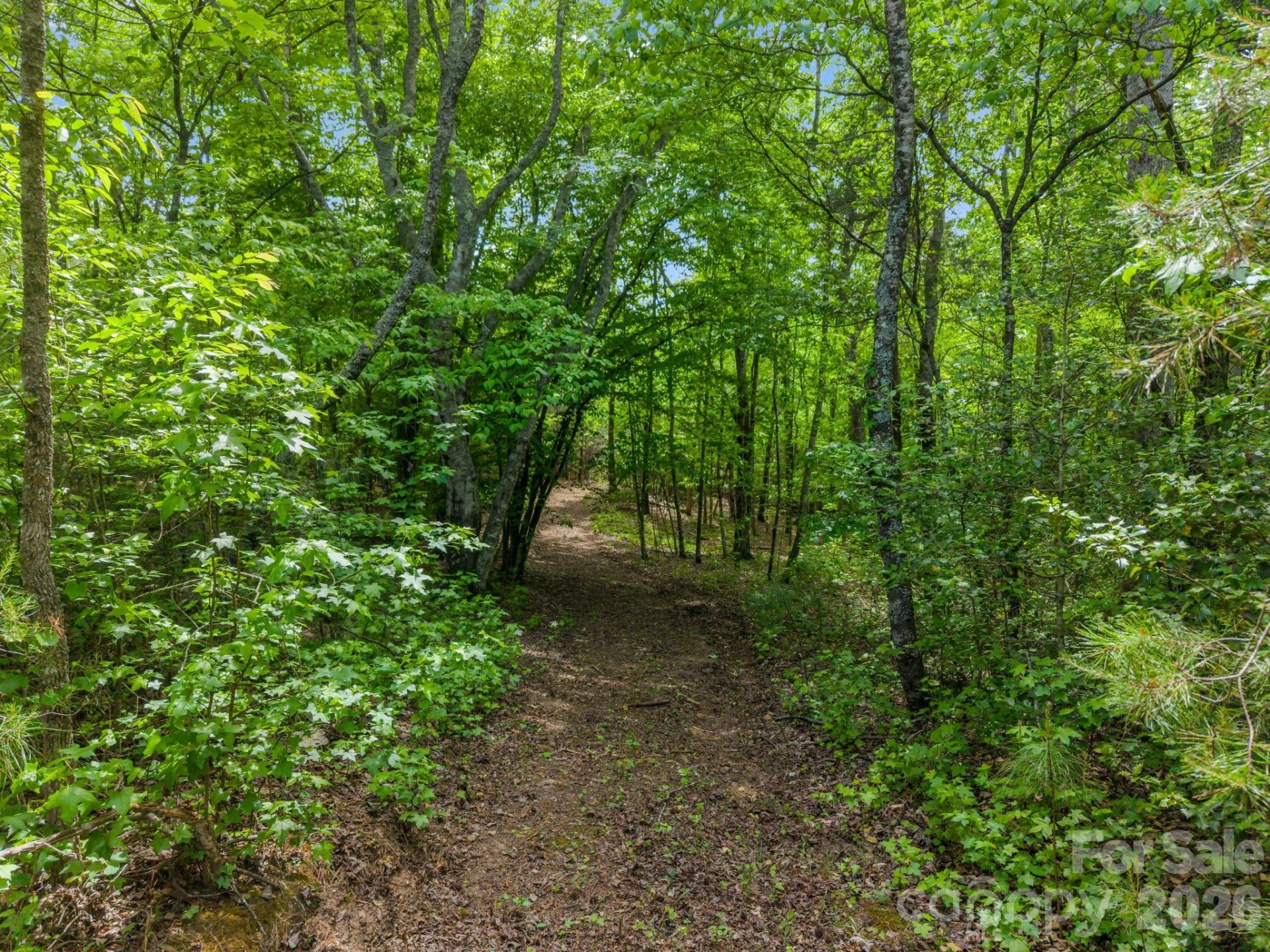 0 Romey Campbell Road - Photo 4