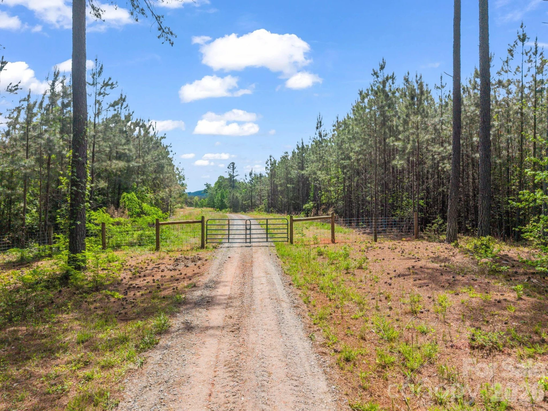 0 Romey Campbell Road - Photo 44