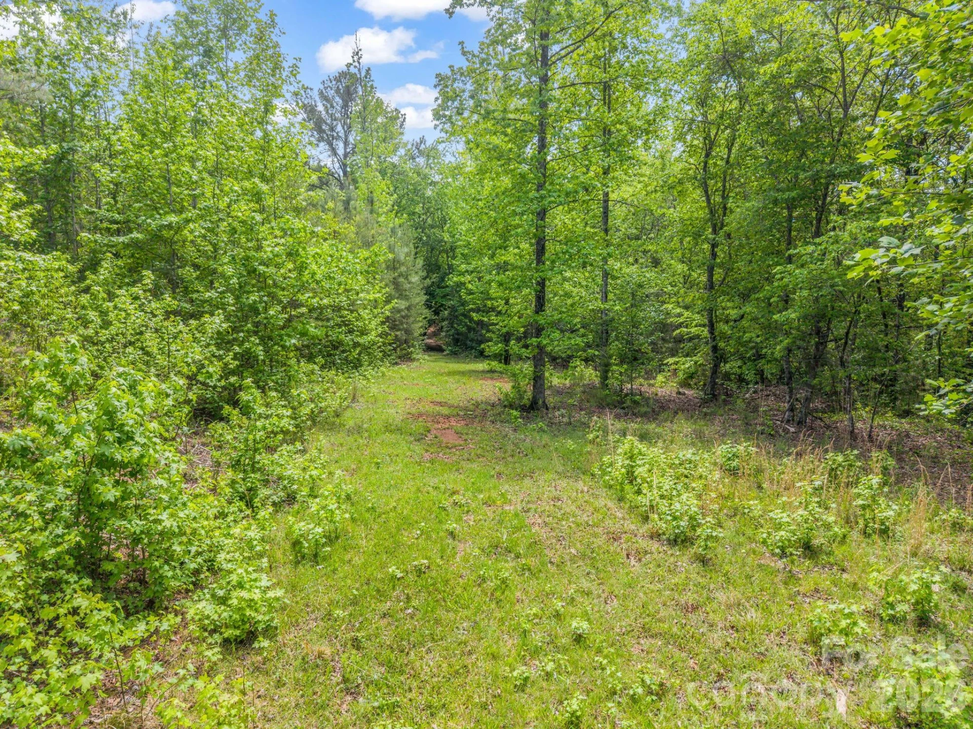 0 Romey Campbell Road - Photo 6