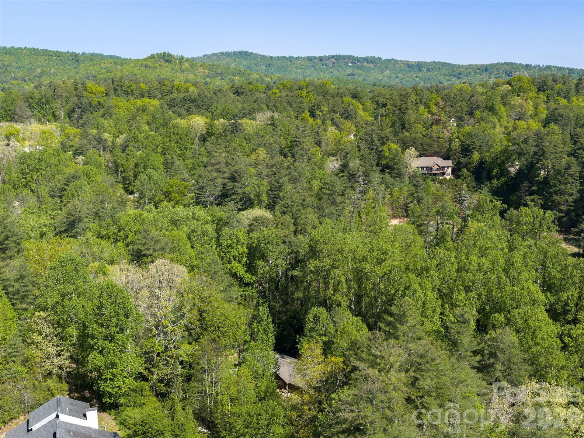 30 Kanuga Heights Lane - Photo 38