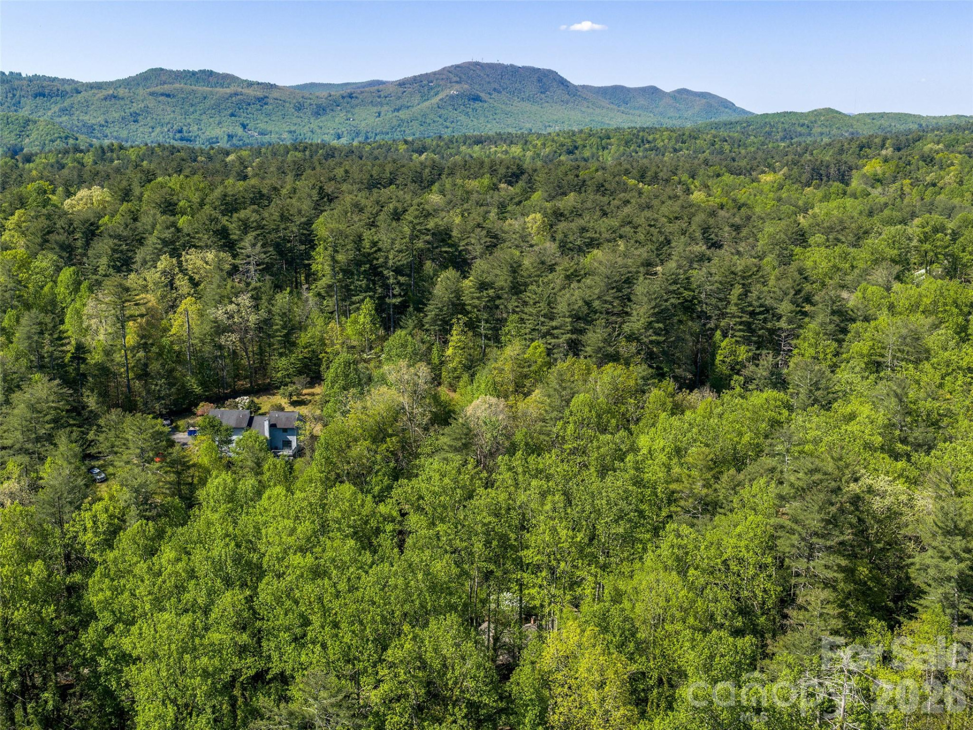 30 Kanuga Heights Lane - Photo 39